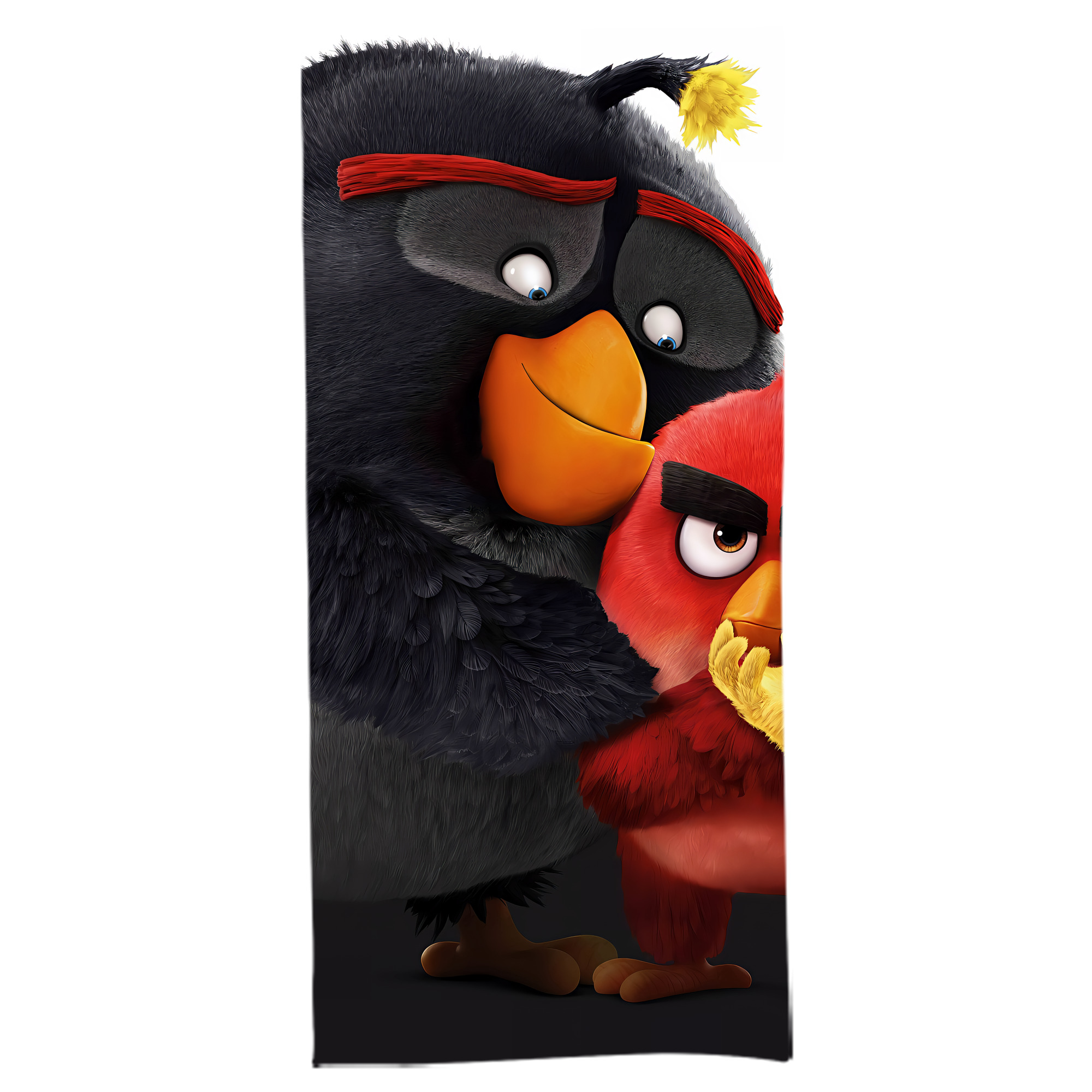 （画像用） Angry Birds アングリーバード 大判バスタオル 70×140cm 吸水速乾 柔らかい肌触り