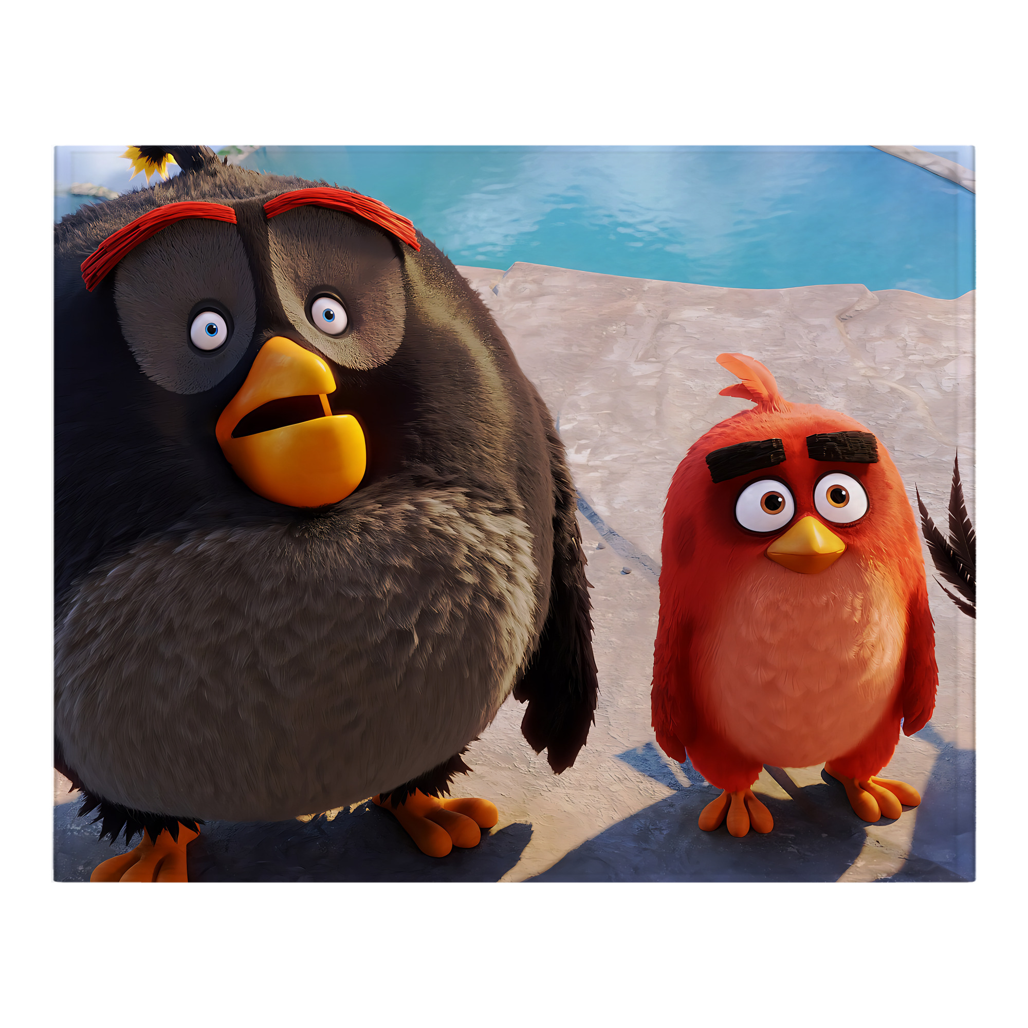 （画像用） Angry Birds アングリーバード フランネルブランケット・多サイズ対応（横型）