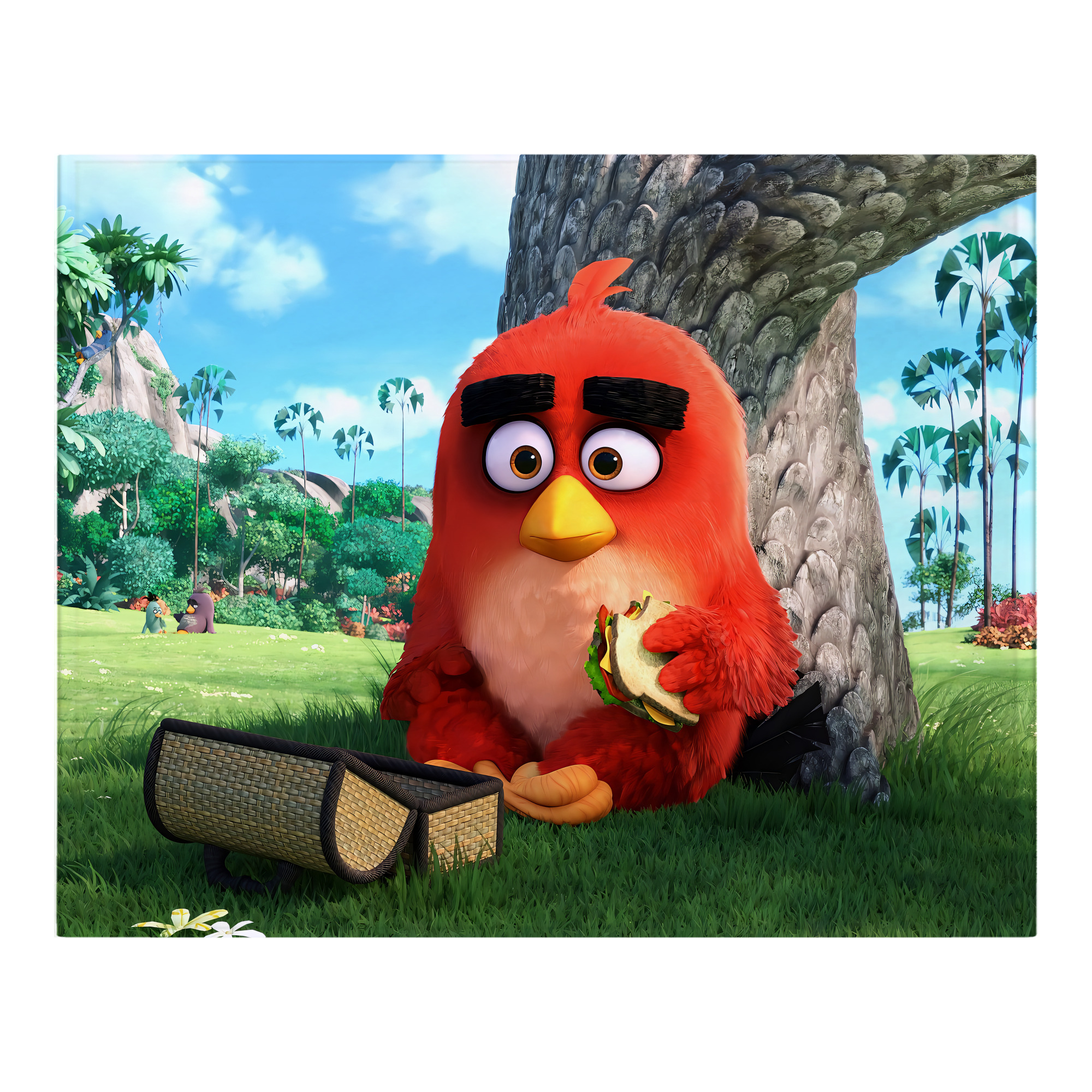（画像用） Angry Birds アングリーバード フランネルブランケット・多サイズ対応（横型）
