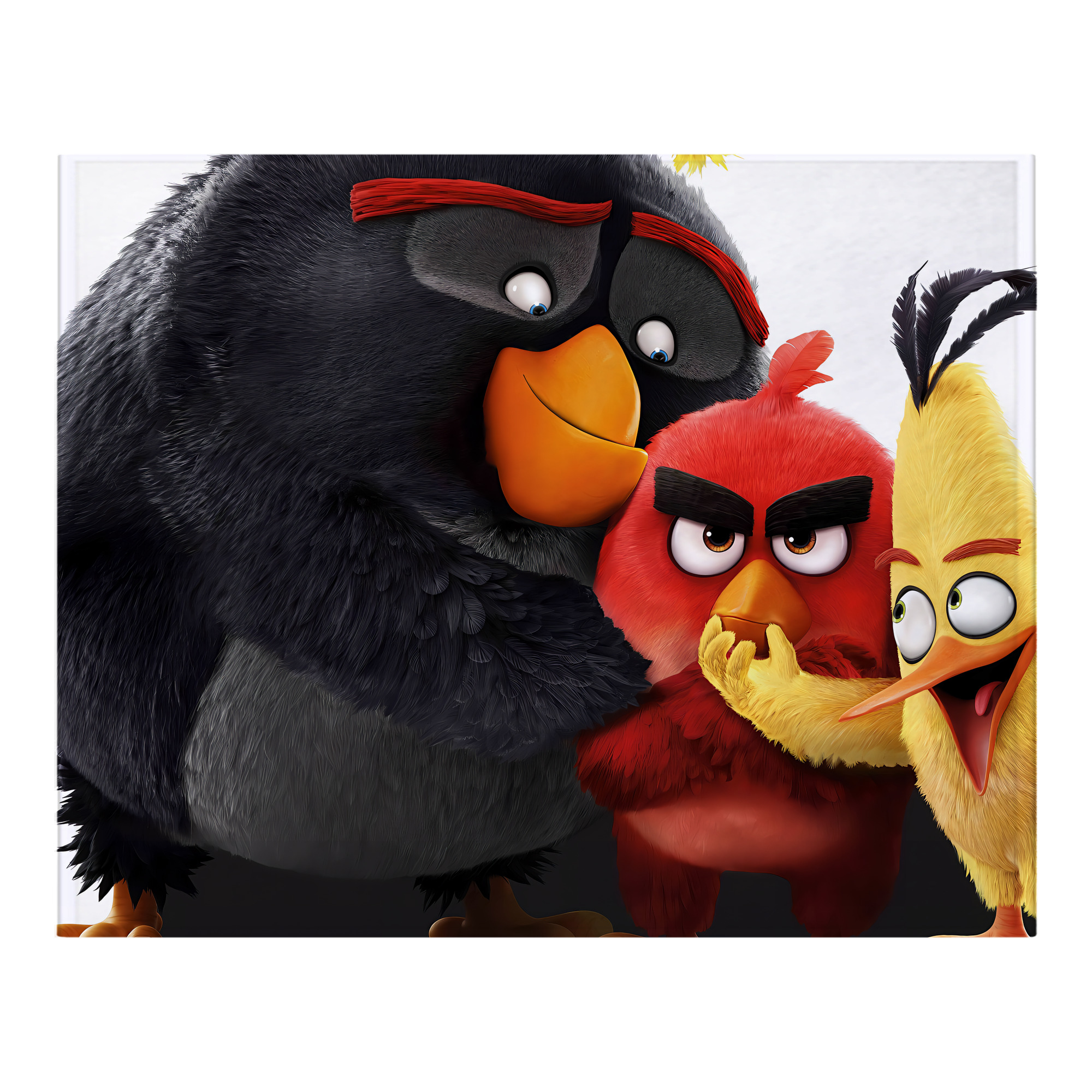 （画像用） Angry Birds アングリーバード フランネルブランケット・多サイズ対応（横型）