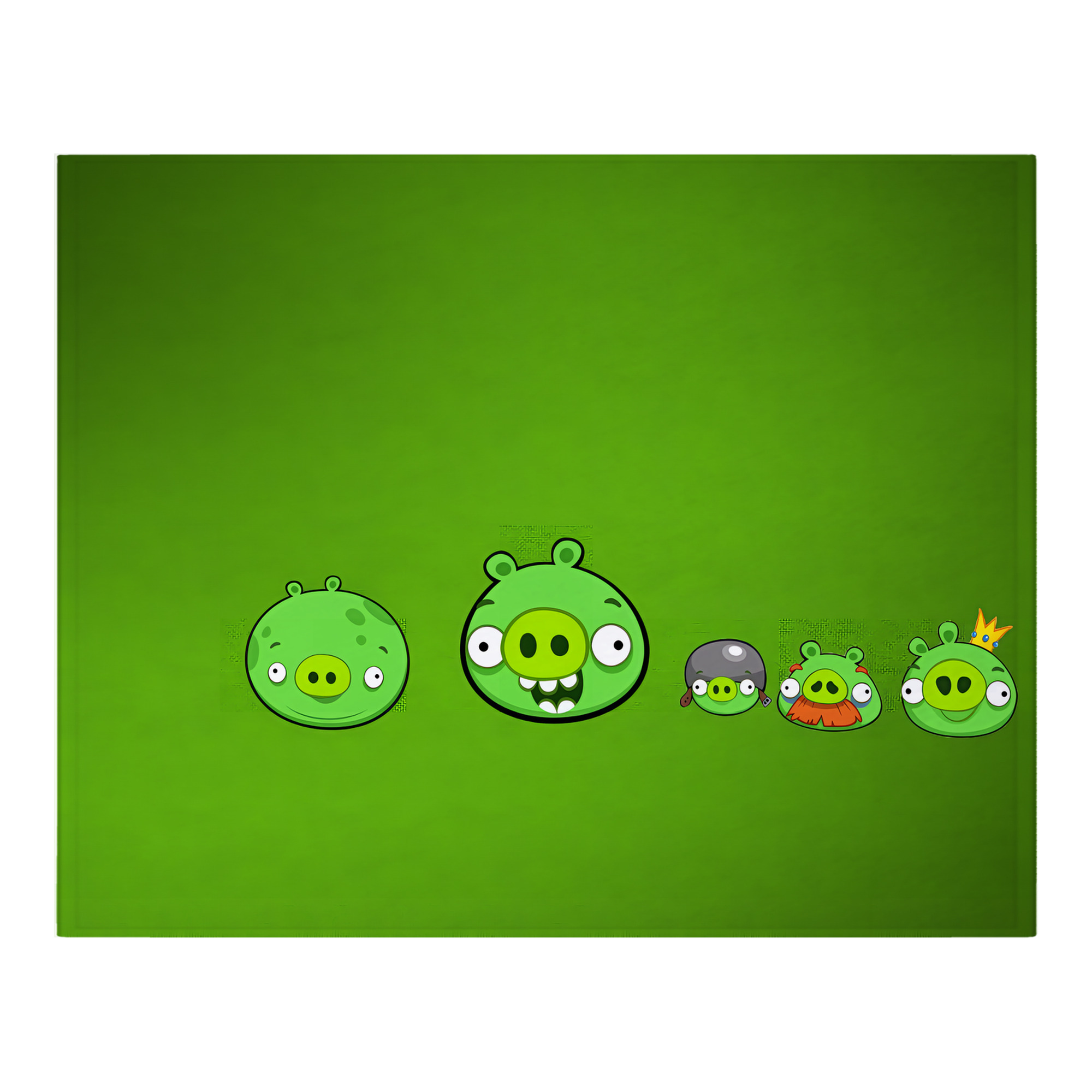 （画像用） Angry Birds アングリーバード フランネルブランケット・多サイズ対応（横型）