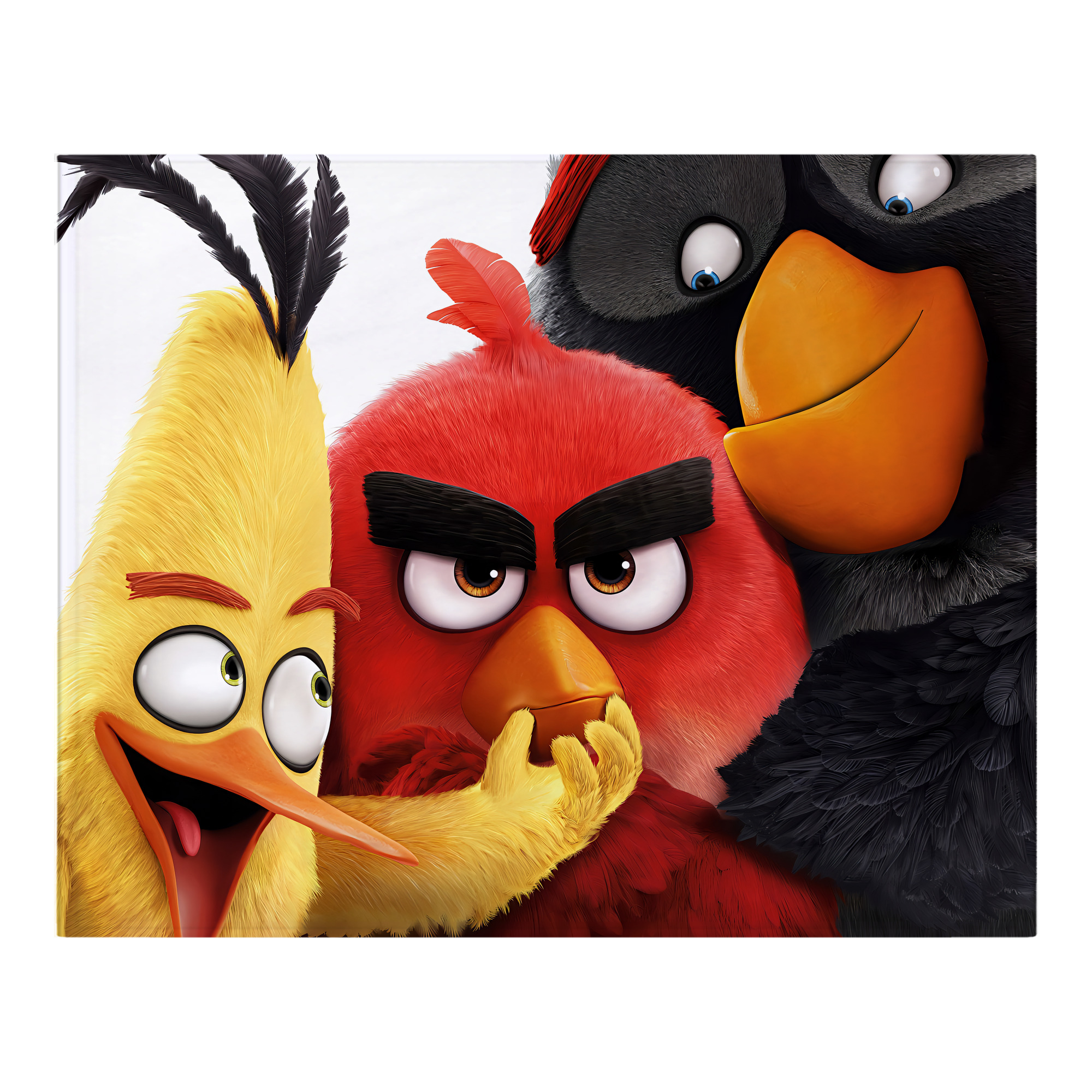 （画像用） Angry Birds アングリーバード フランネルブランケット・多サイズ対応（横型）