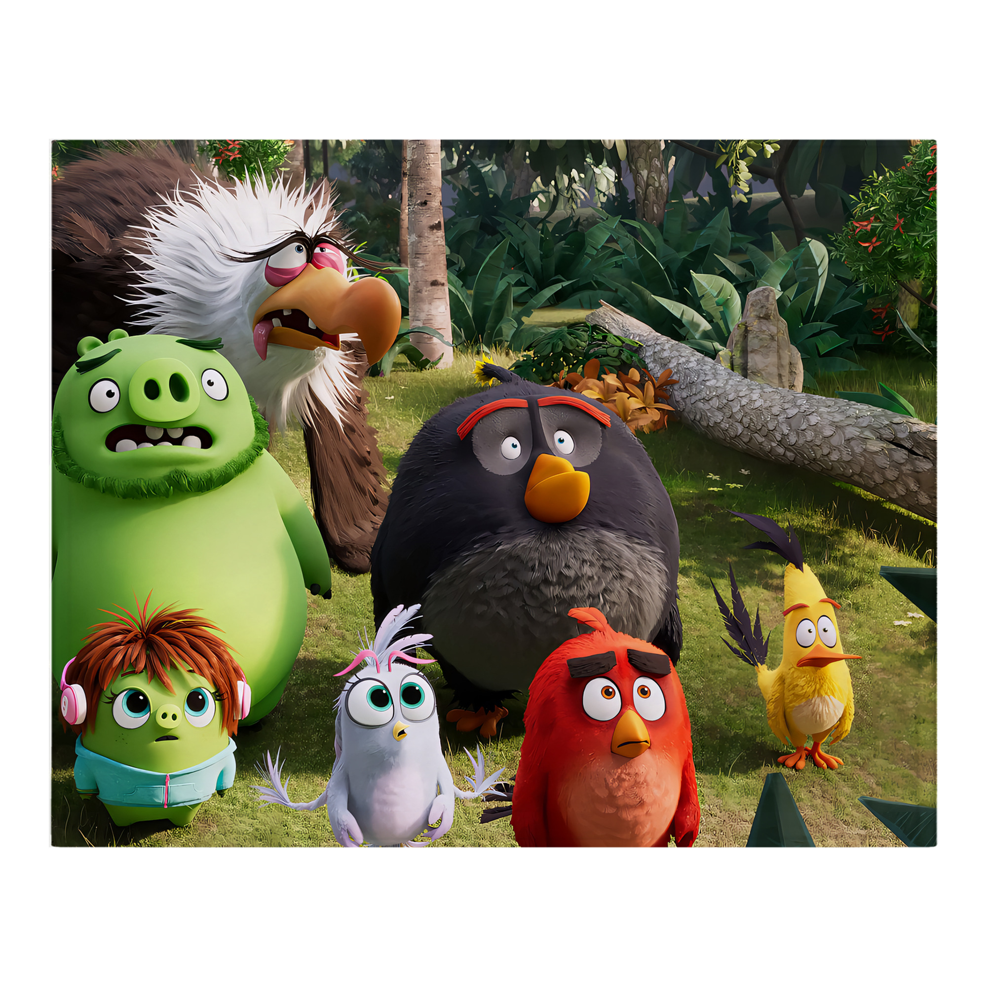 （画像用） Angry Birds アングリーバード フランネルブランケット・多サイズ対応（横型）