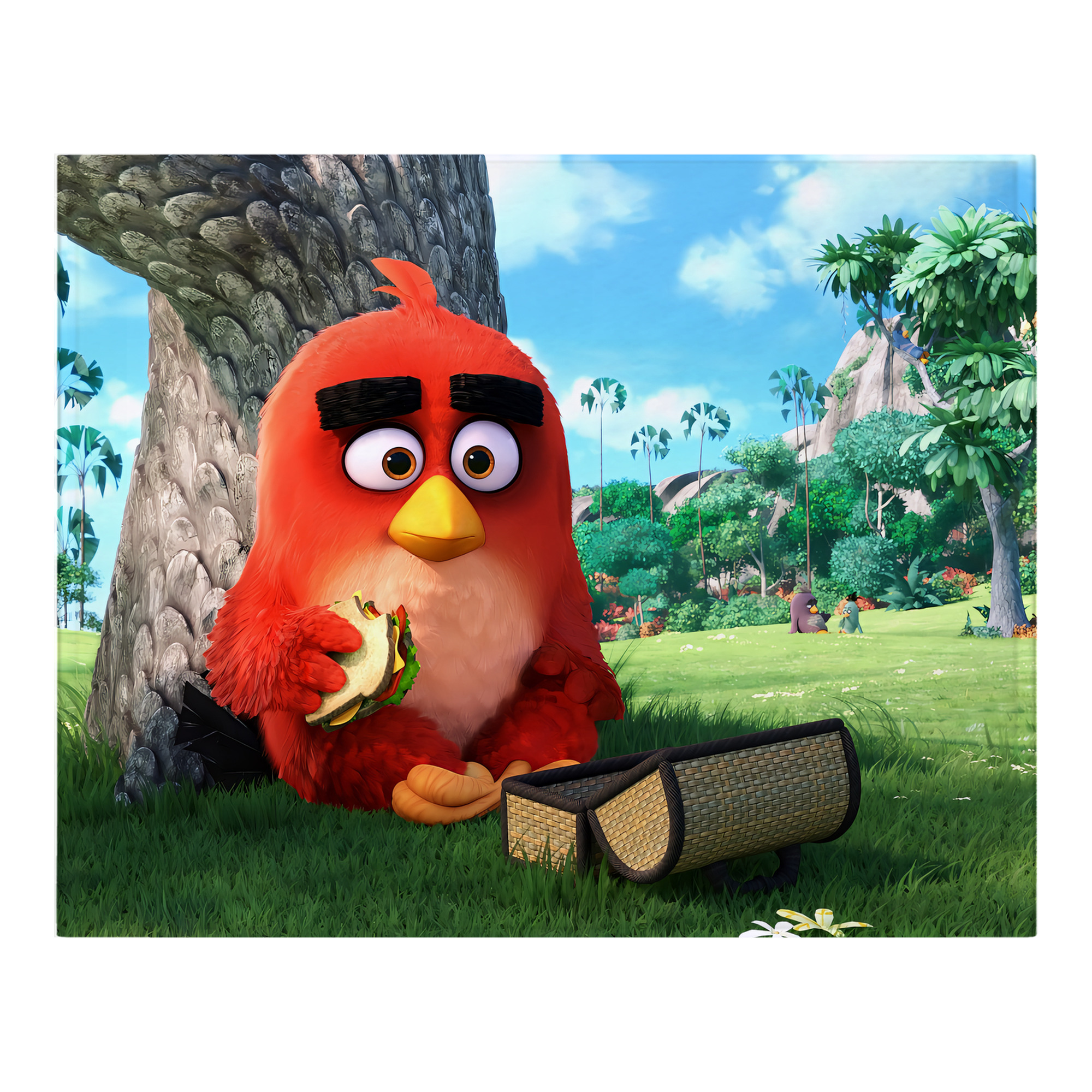 （画像用） Angry Birds アングリーバード フランネルブランケット・多サイズ対応（横型）