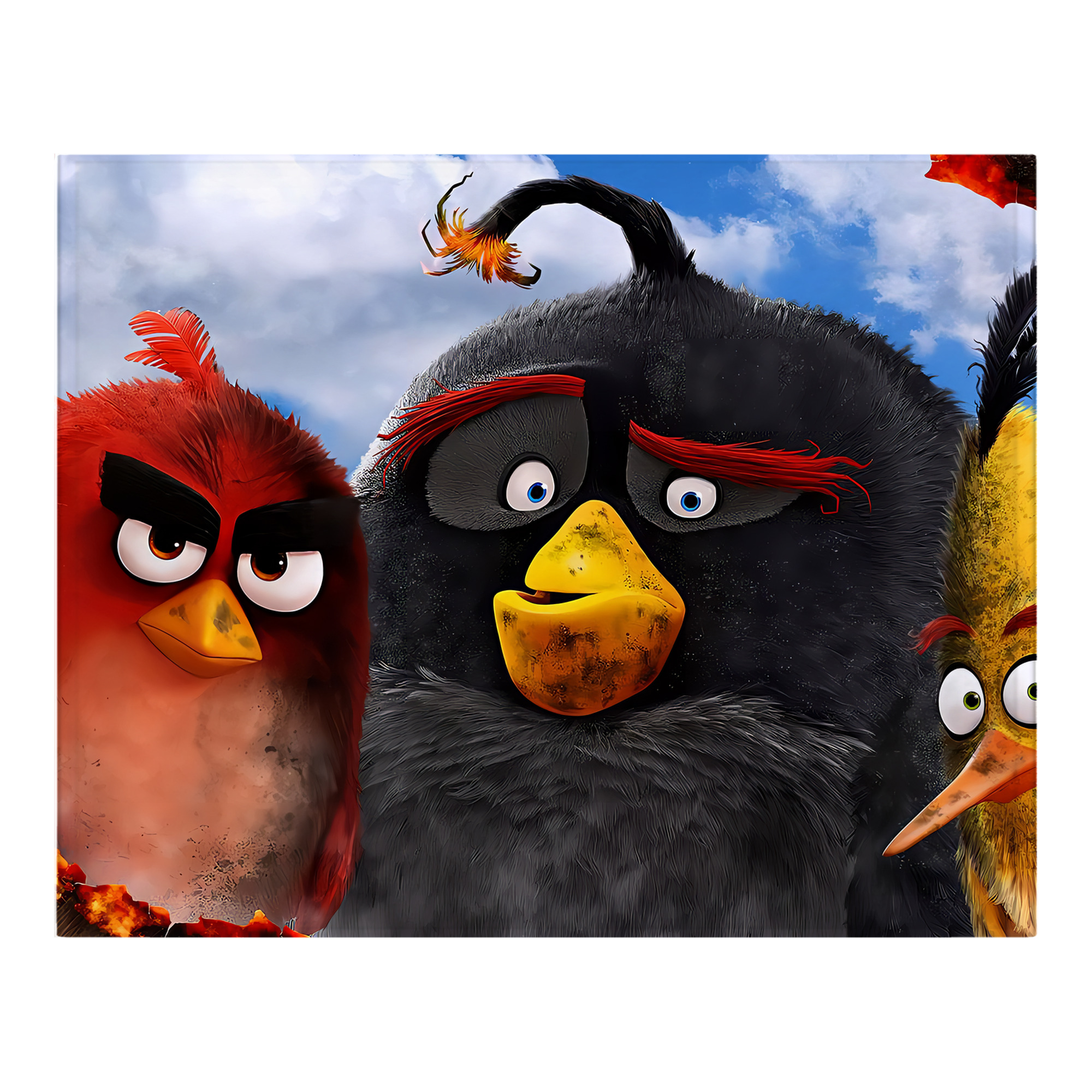 （画像用） Angry Birds アングリーバード フランネルブランケット・多サイズ対応（横型）