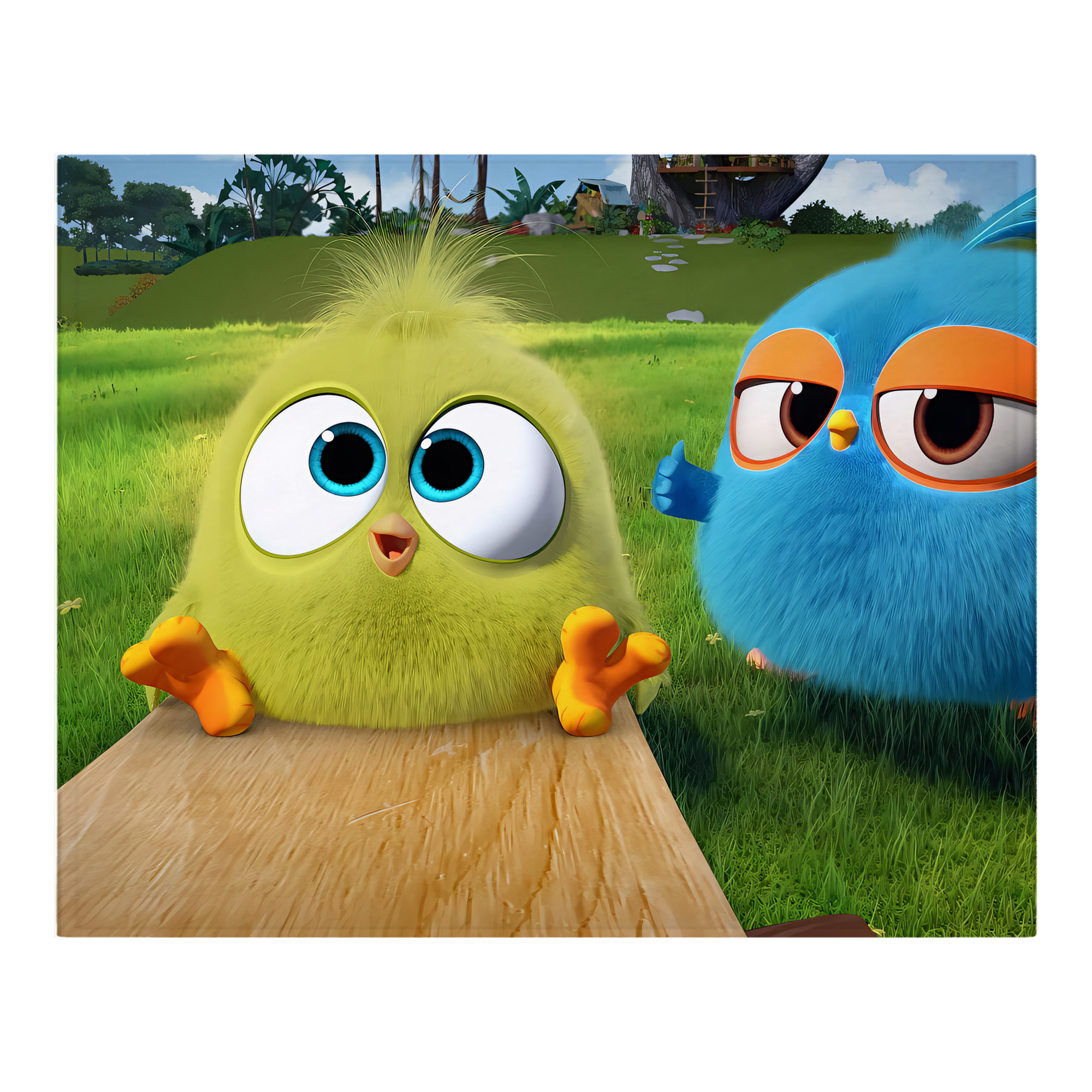 （画像用） Angry Birds アングリーバード フランネルブランケット・多サイズ対応（横型）