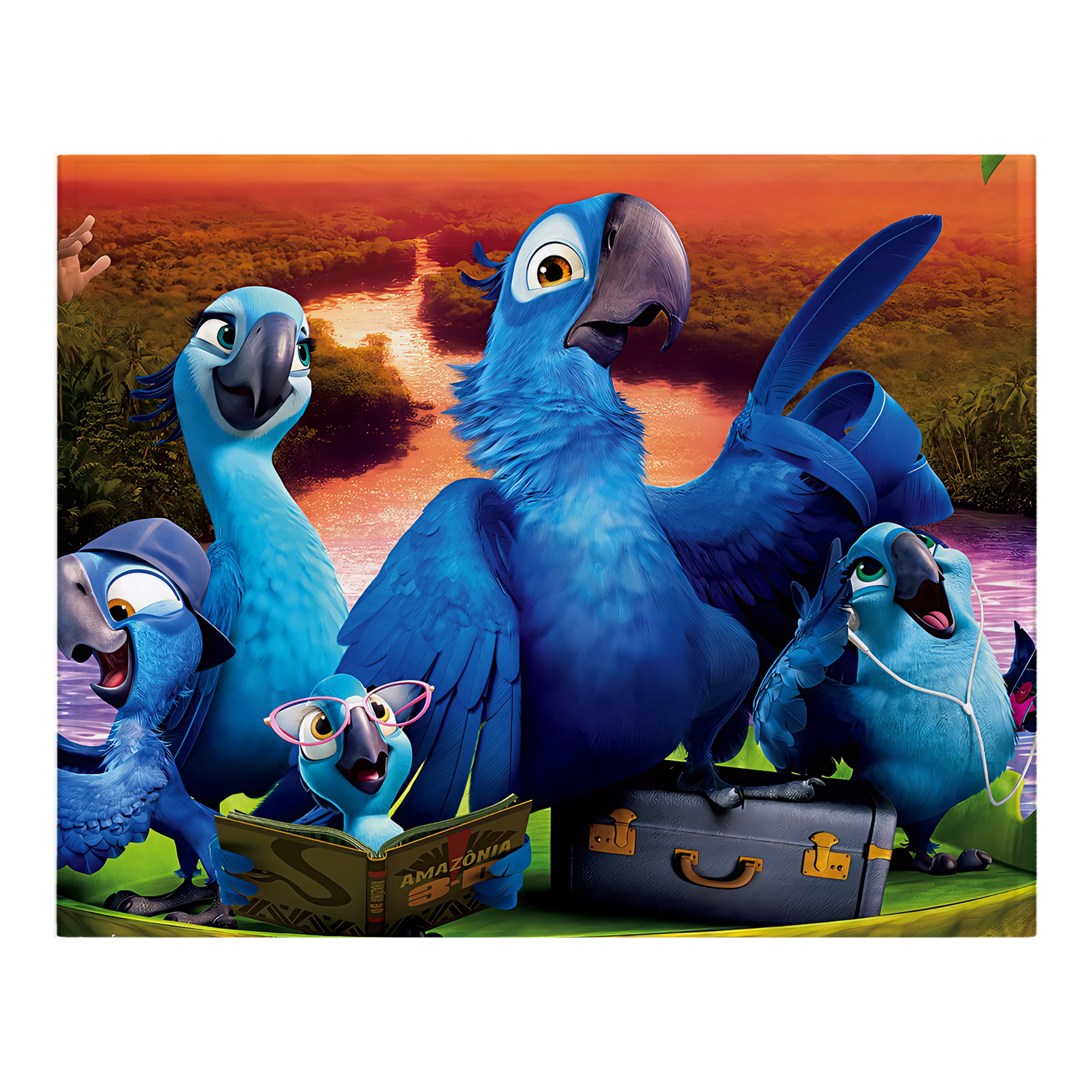 （画像用） Angry Birds アングリーバード フランネルブランケット・多サイズ対応（横型）
