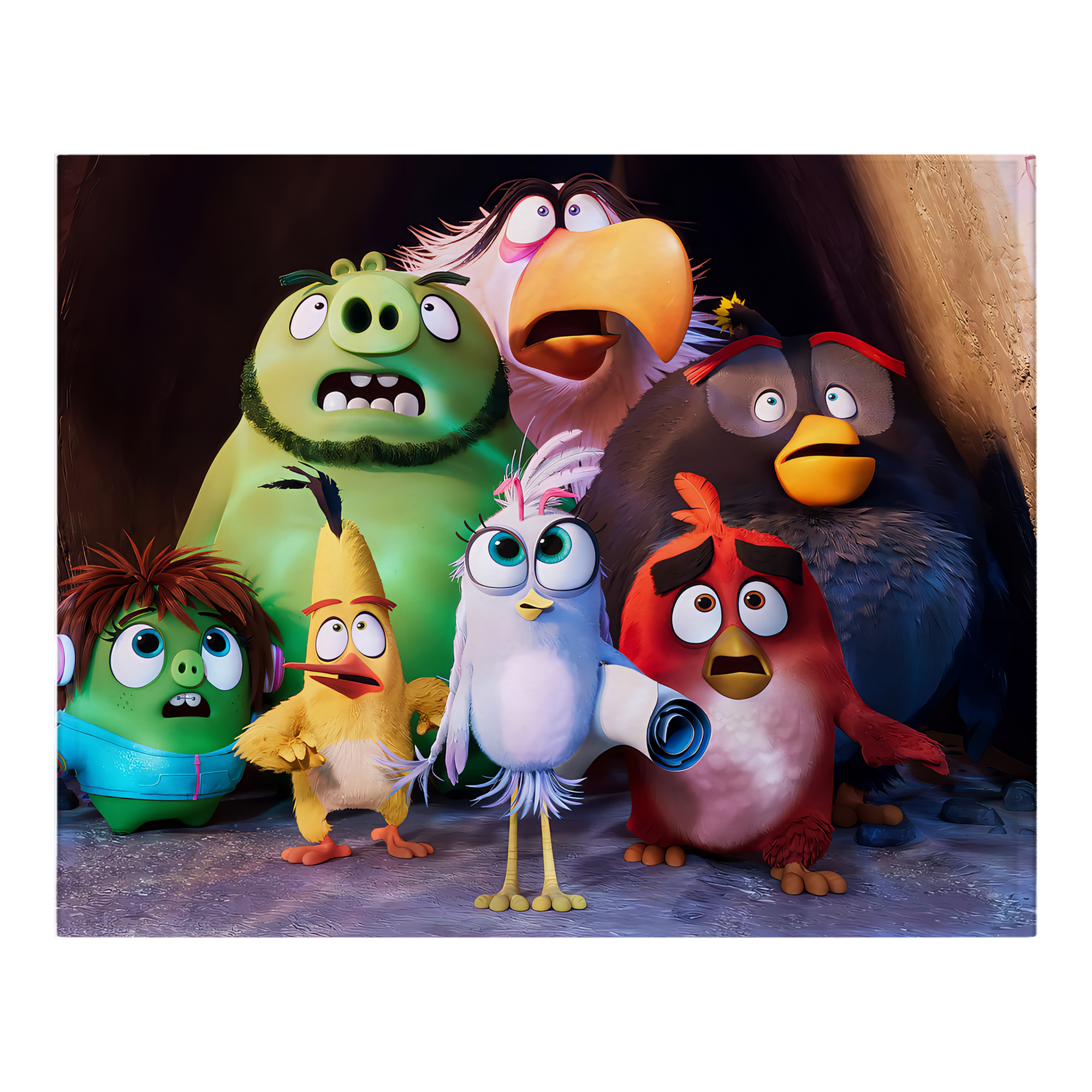 （画像用） Angry Birds アングリーバード フランネルブランケット・多サイズ対応（横型）