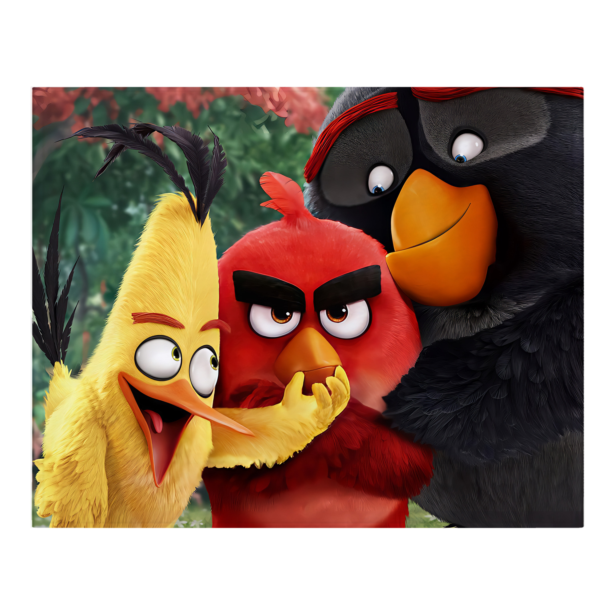 （画像用） Angry Birds アングリーバード フランネルブランケット・多サイズ対応（横型）