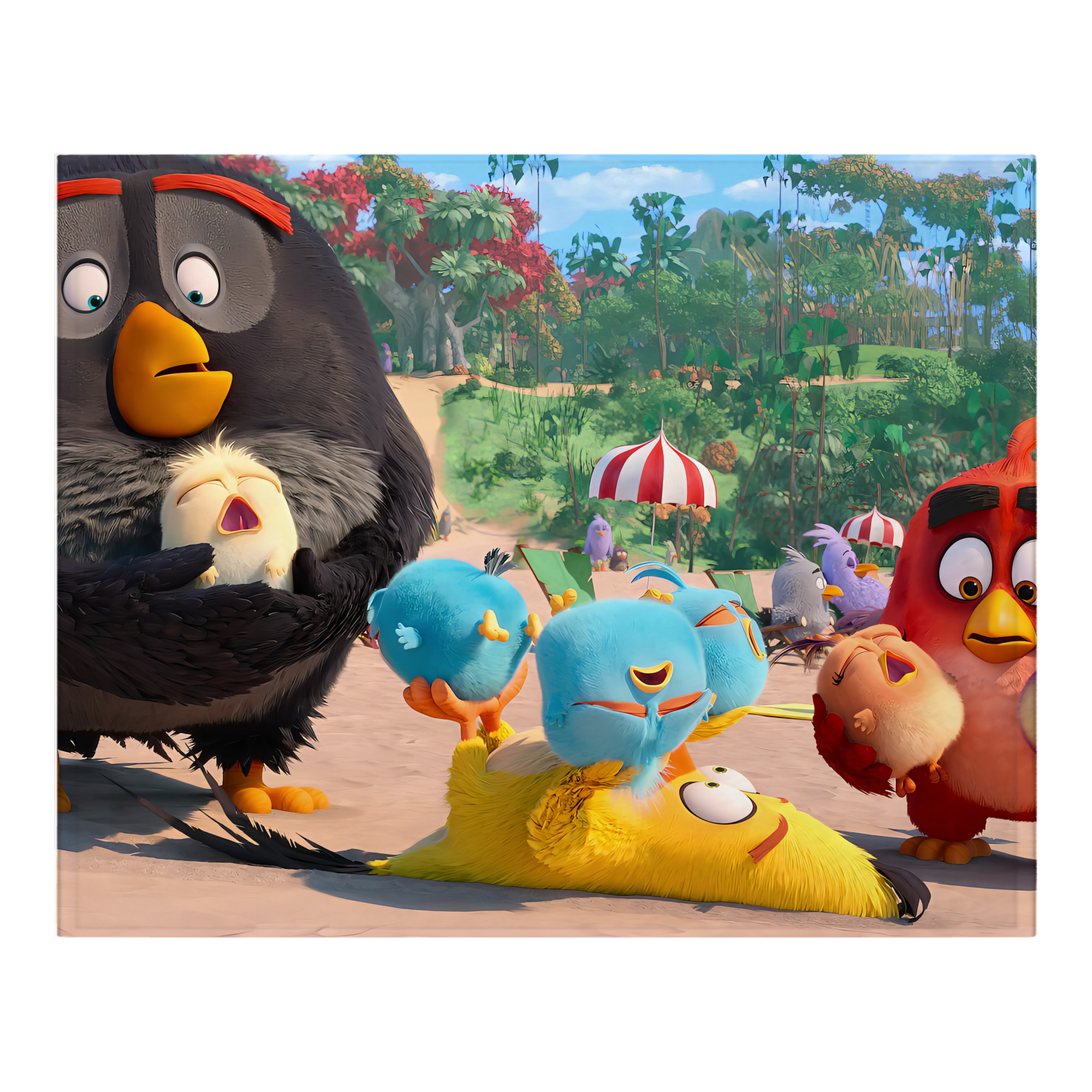 （画像用） Angry Birds アングリーバード フランネルブランケット・多サイズ対応（横型）