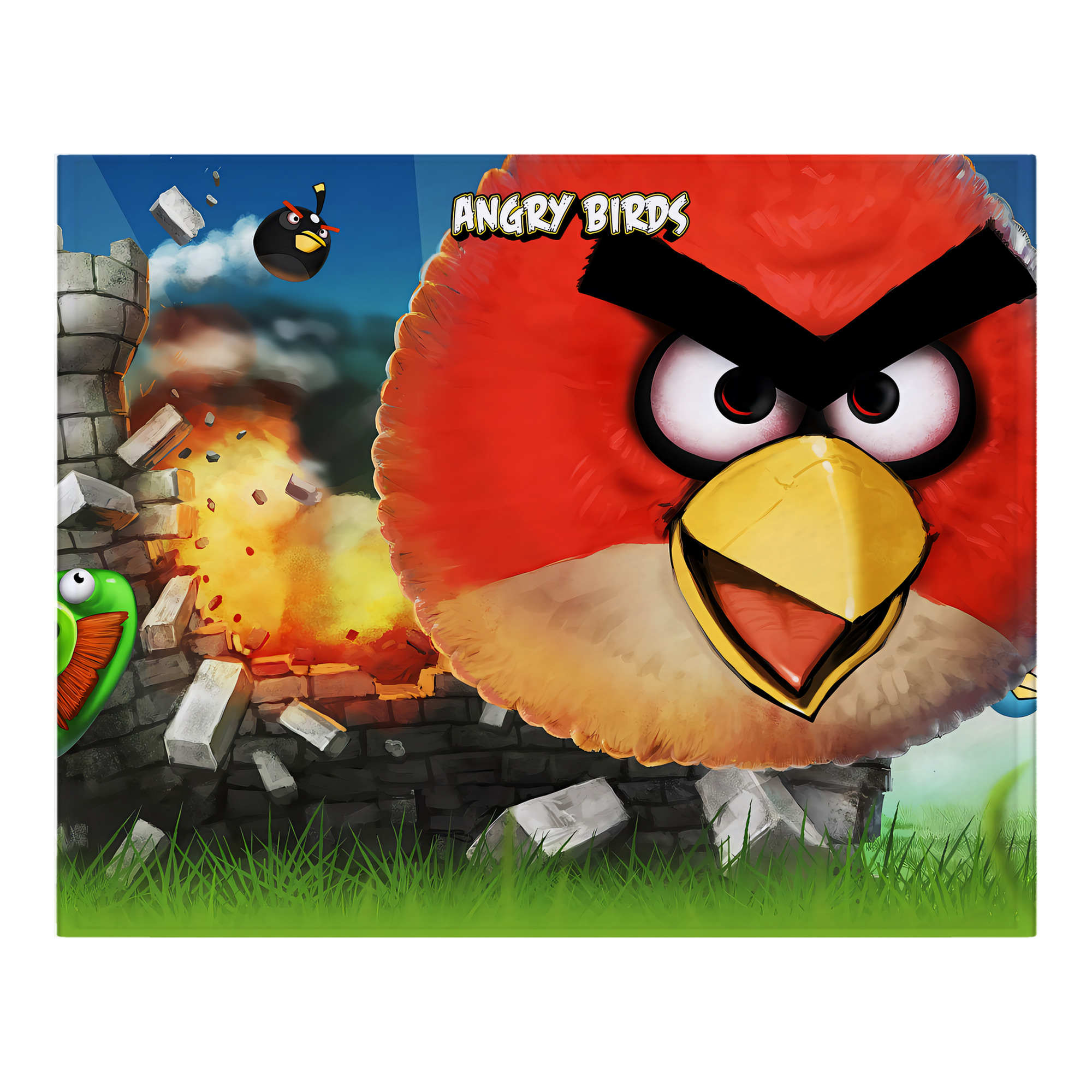 （画像用） Angry Birds アングリーバード フランネルブランケット・多サイズ対応（横型）