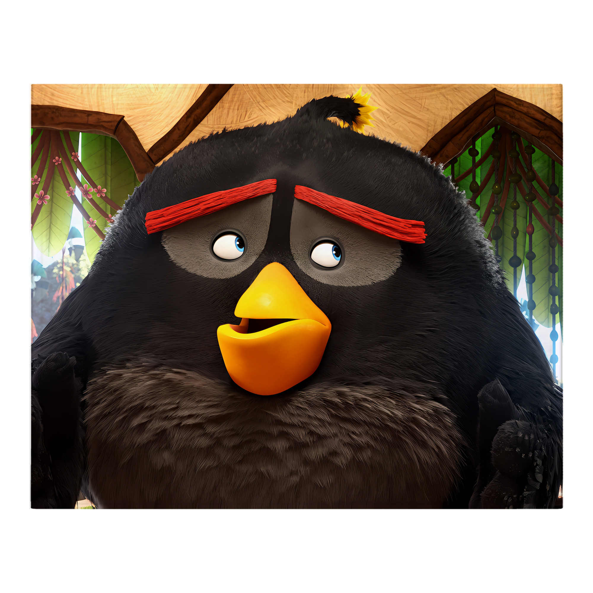 （画像用） Angry Birds アングリーバード フランネルブランケット・多サイズ対応（横型）