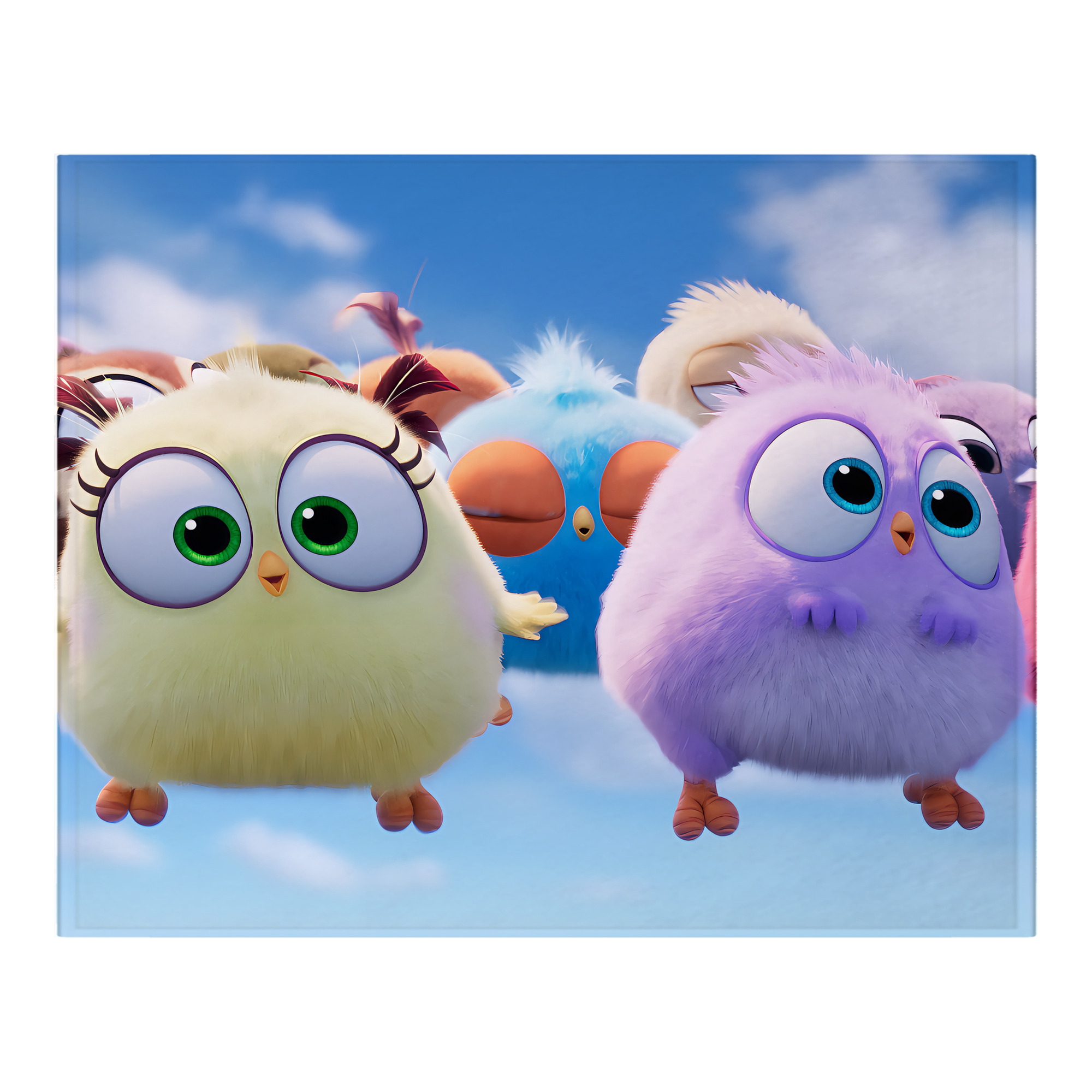（画像用） Angry Birds アングリーバード フランネルブランケット・多サイズ対応（横型）