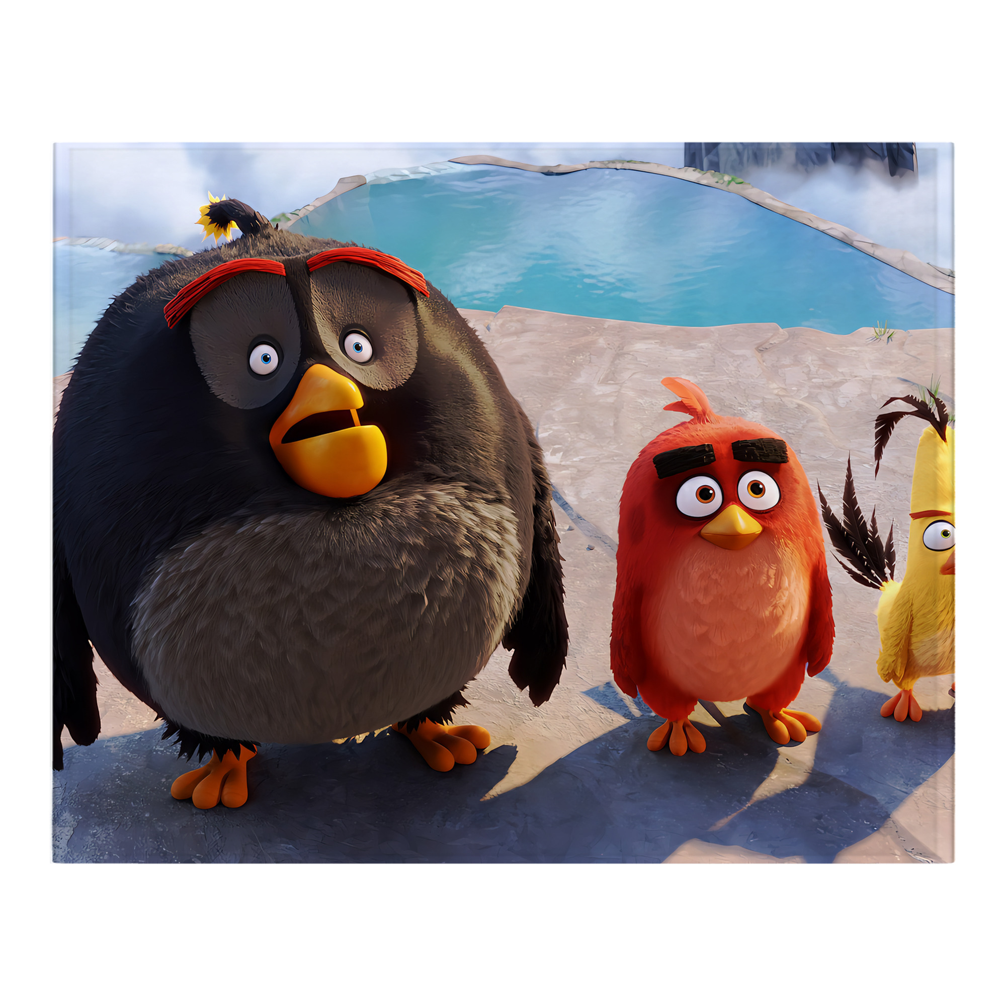 （画像用） Angry Birds アングリーバード フランネルブランケット・多サイズ対応（横型）