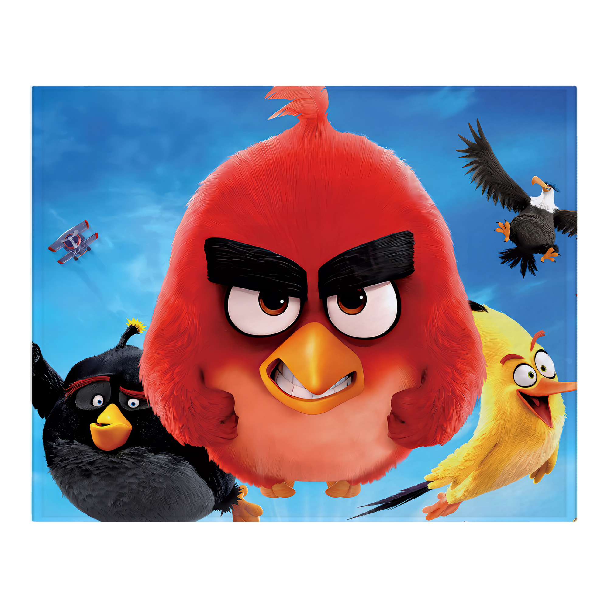 （画像用） Angry Birds アングリーバード フランネルブランケット・多サイズ対応（横型）