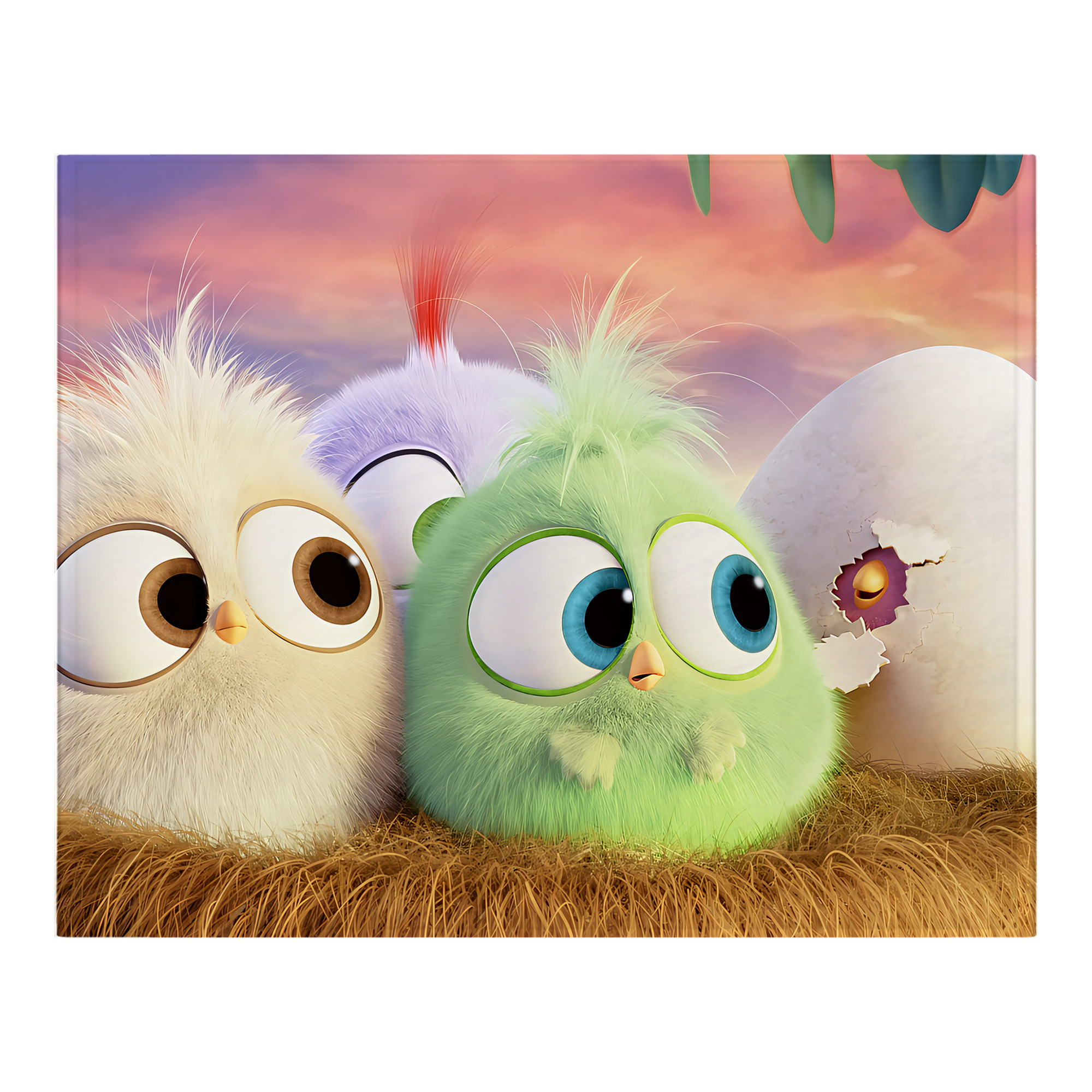 （画像用） Angry Birds アングリーバード フランネルブランケット・多サイズ対応（横型）