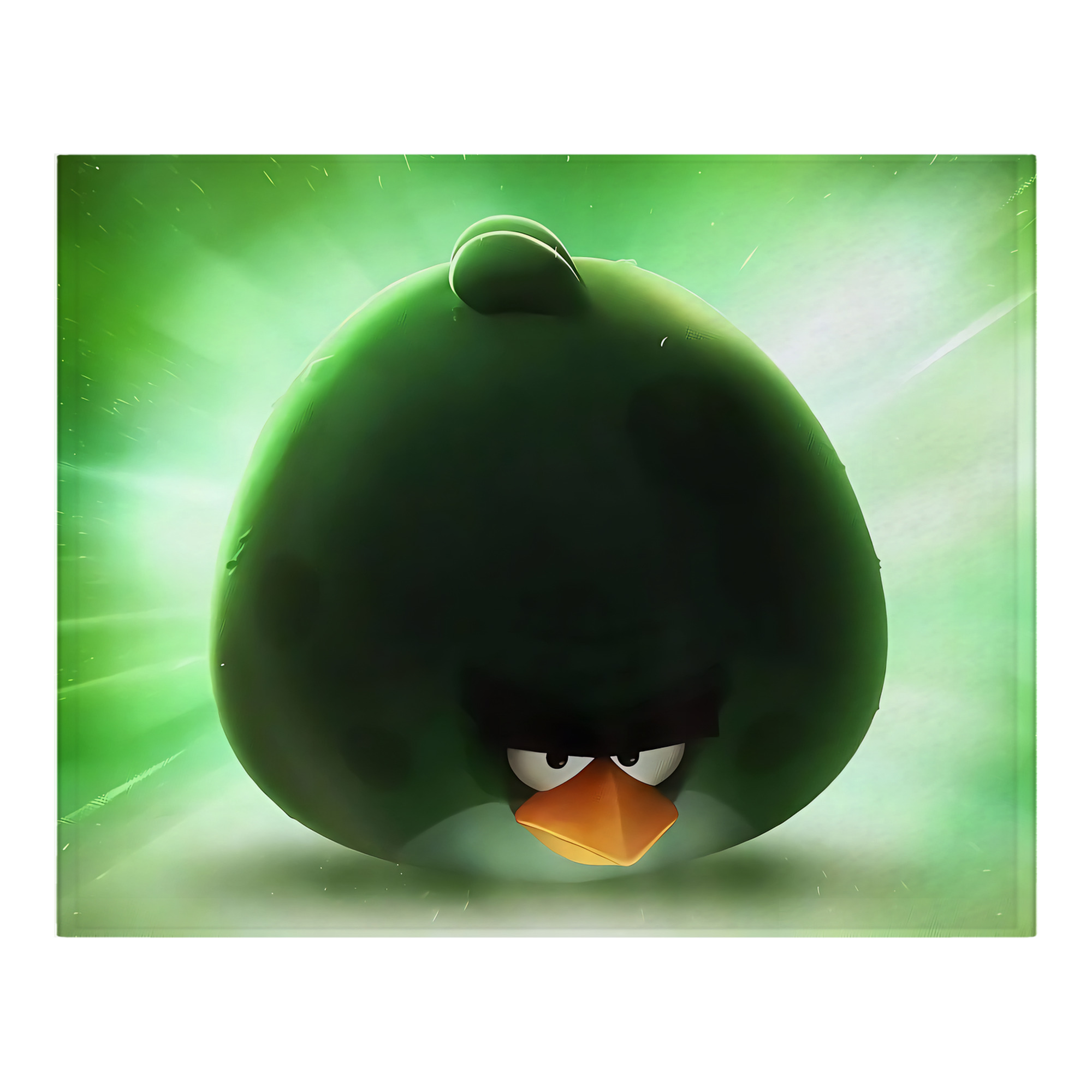 （画像用） Angry Birds アングリーバード フランネルブランケット・多サイズ対応（横型）