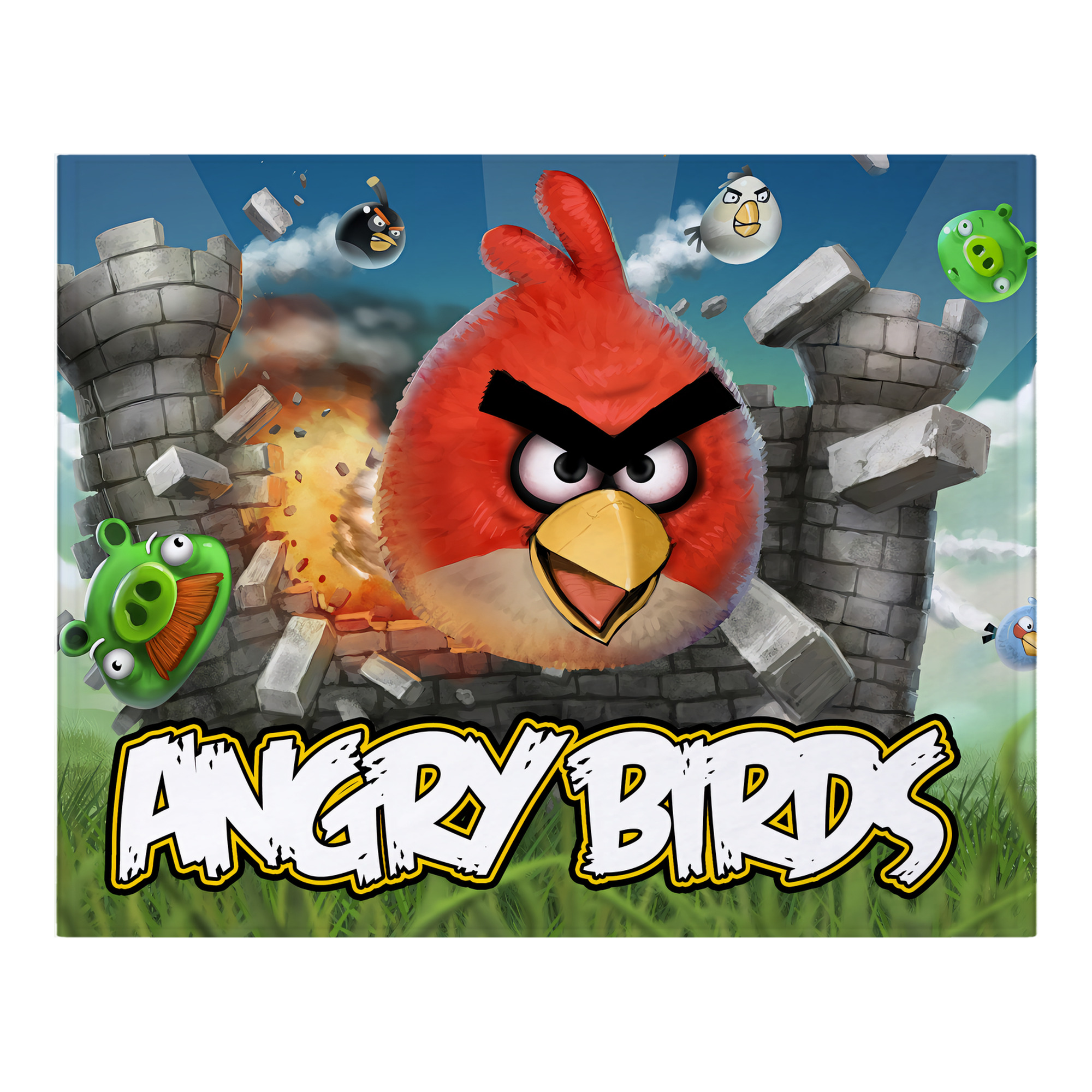 （画像用） Angry Birds アングリーバード フランネルブランケット・多サイズ対応（横型）