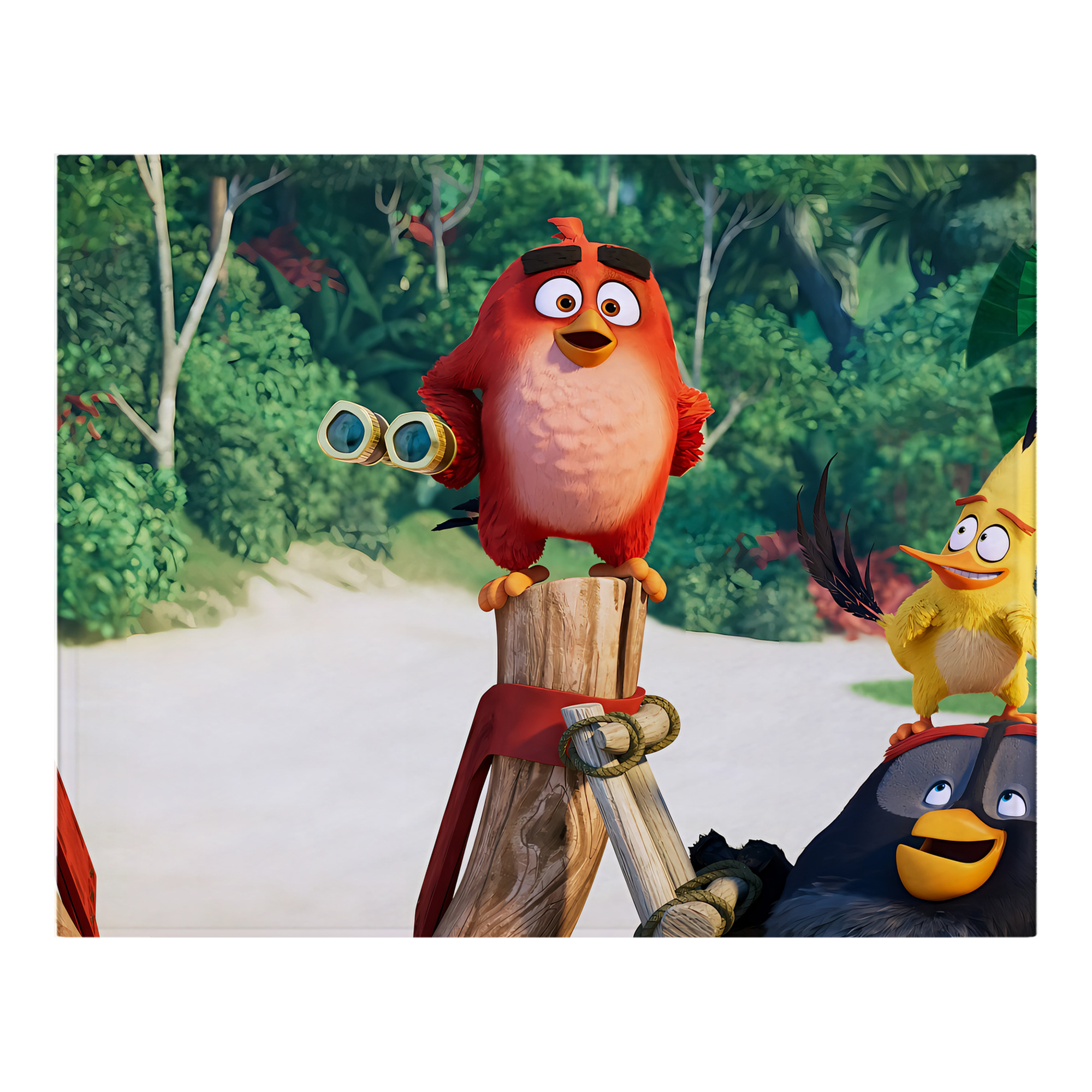 （画像用） Angry Birds アングリーバード フランネルブランケット・多サイズ対応（横型）