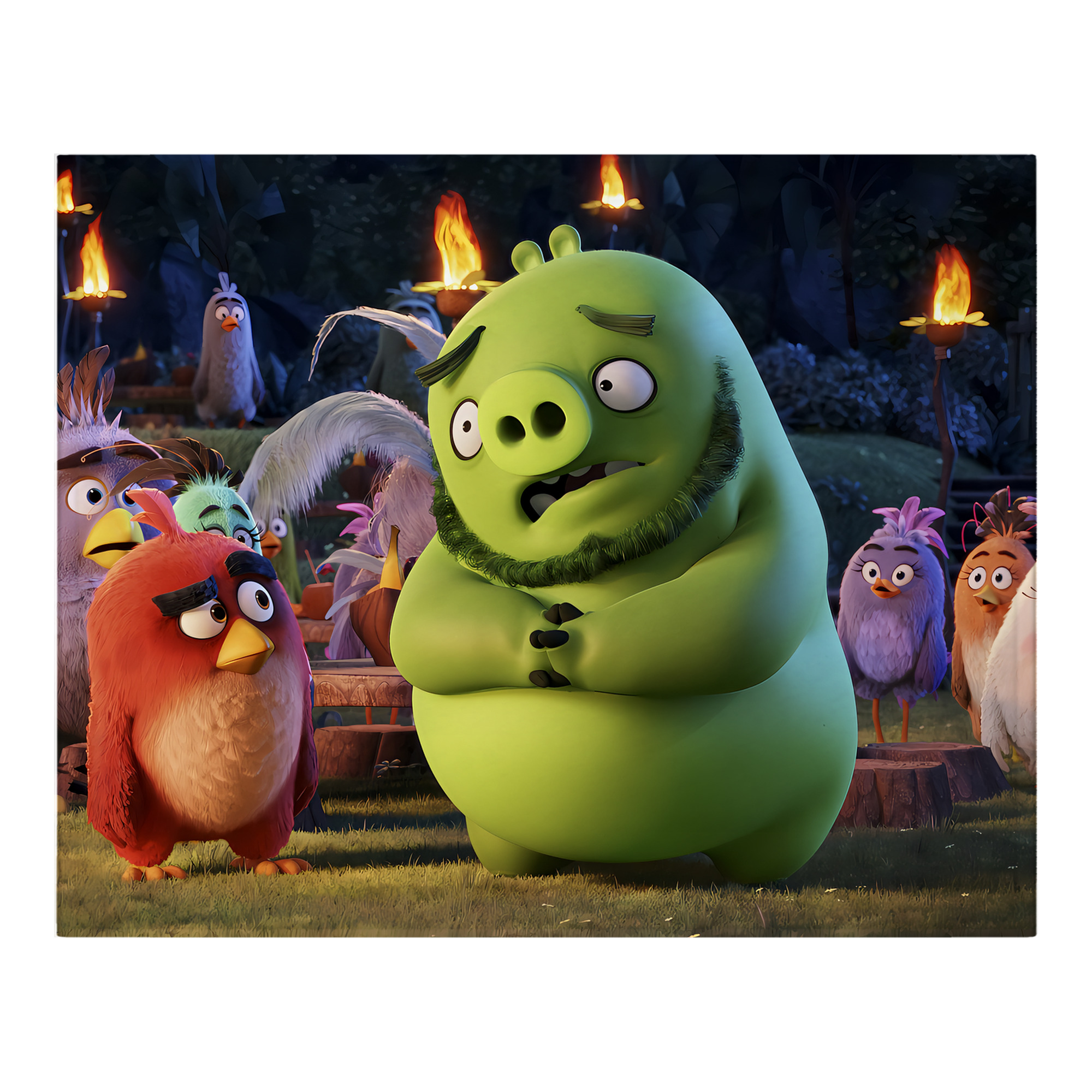 （画像用） Angry Birds アングリーバード フランネルブランケット・多サイズ対応（横型）