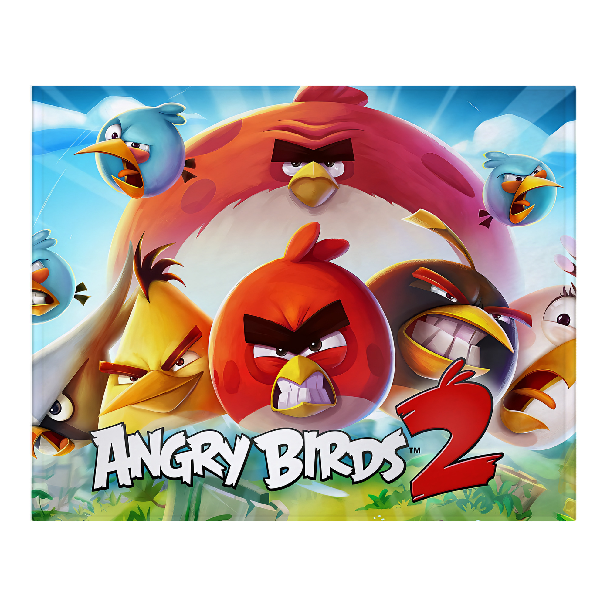 （画像用） Angry Birds アングリーバード フランネルブランケット・多サイズ対応（横型）