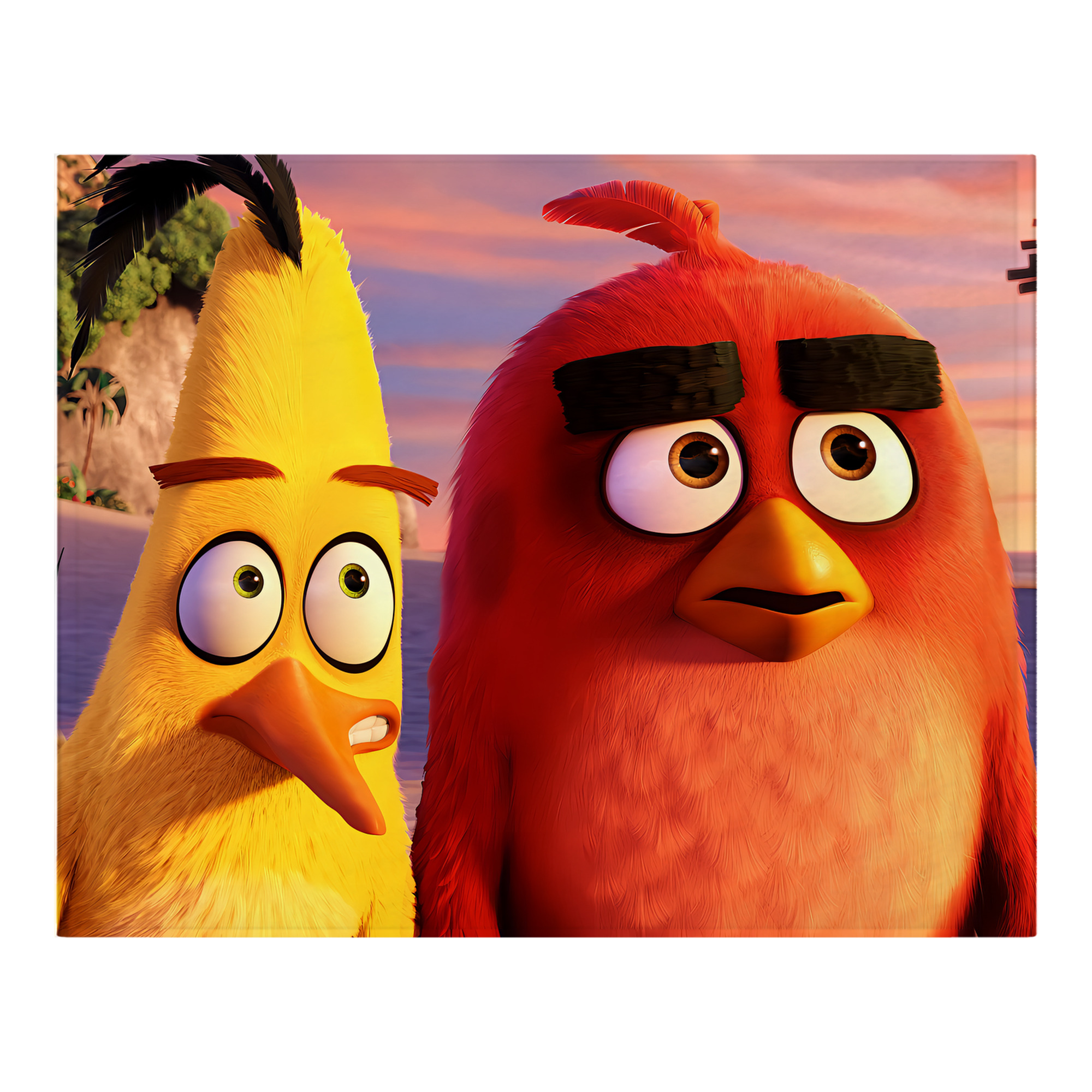 （画像用） Angry Birds アングリーバード フランネルブランケット・多サイズ対応（横型）