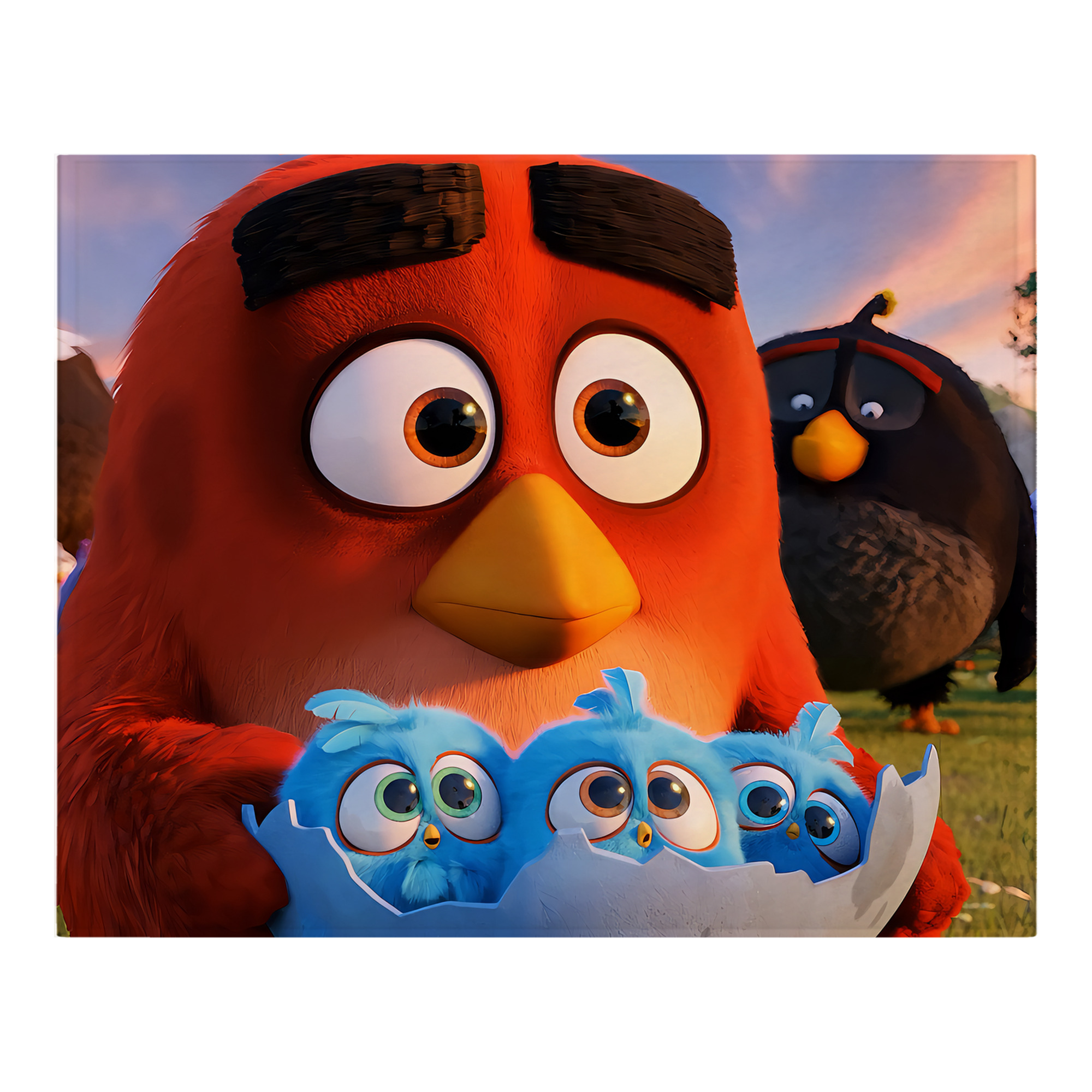 （画像用） Angry Birds アングリーバード フランネルブランケット・多サイズ対応（横型）