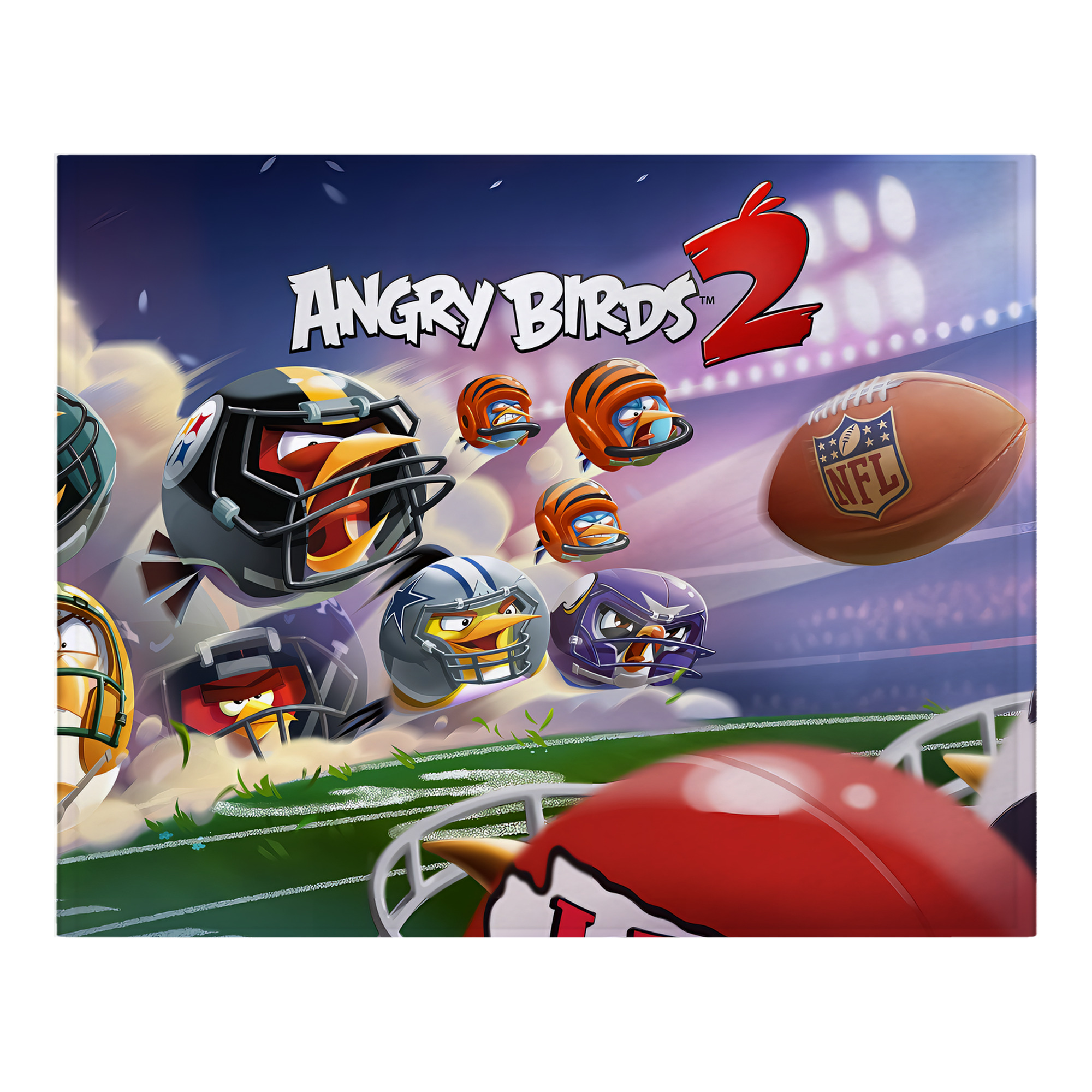 （画像用） Angry Birds アングリーバード フランネルブランケット・多サイズ対応（横型）
