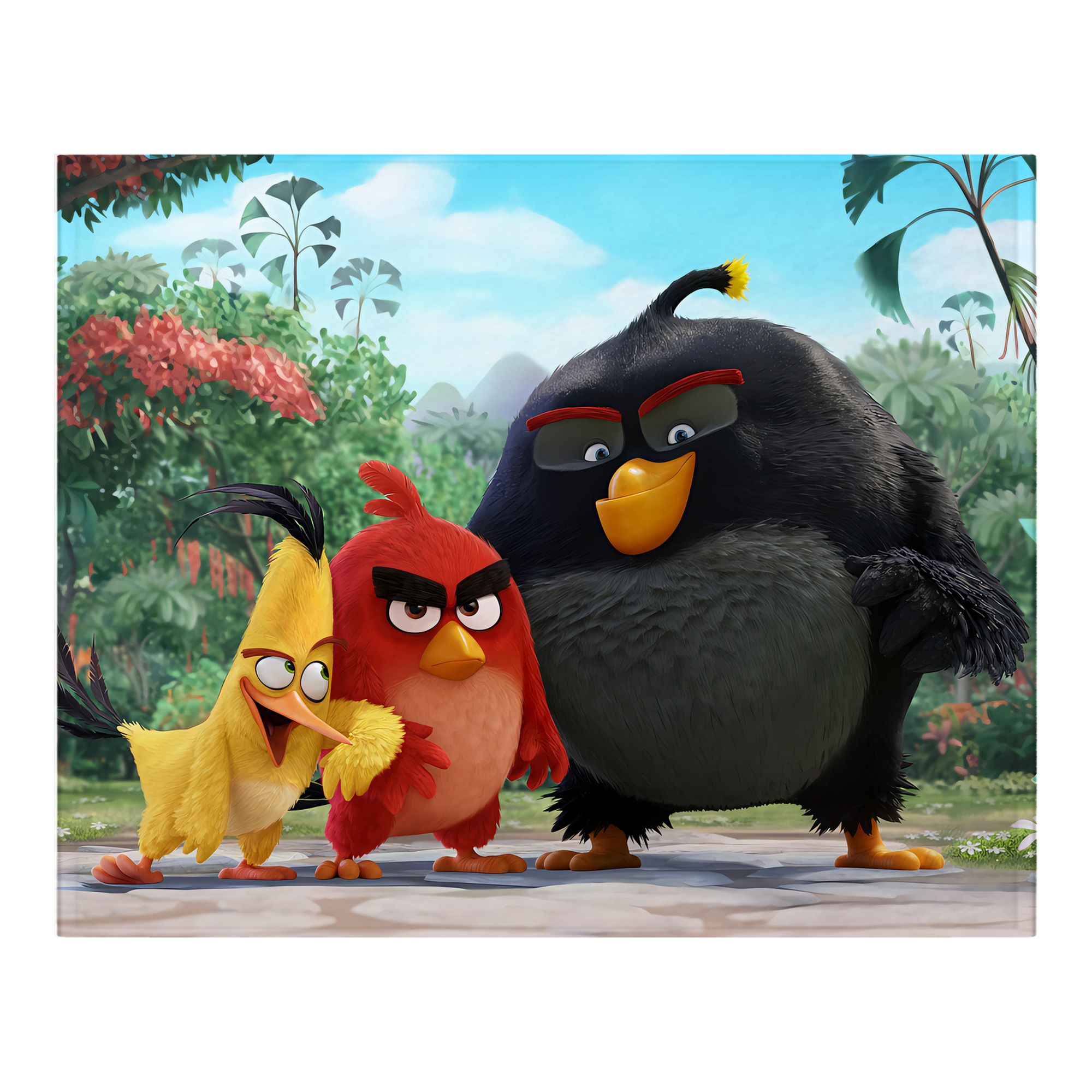 （画像用） Angry Birds アングリーバード フランネルブランケット・多サイズ対応（横型）