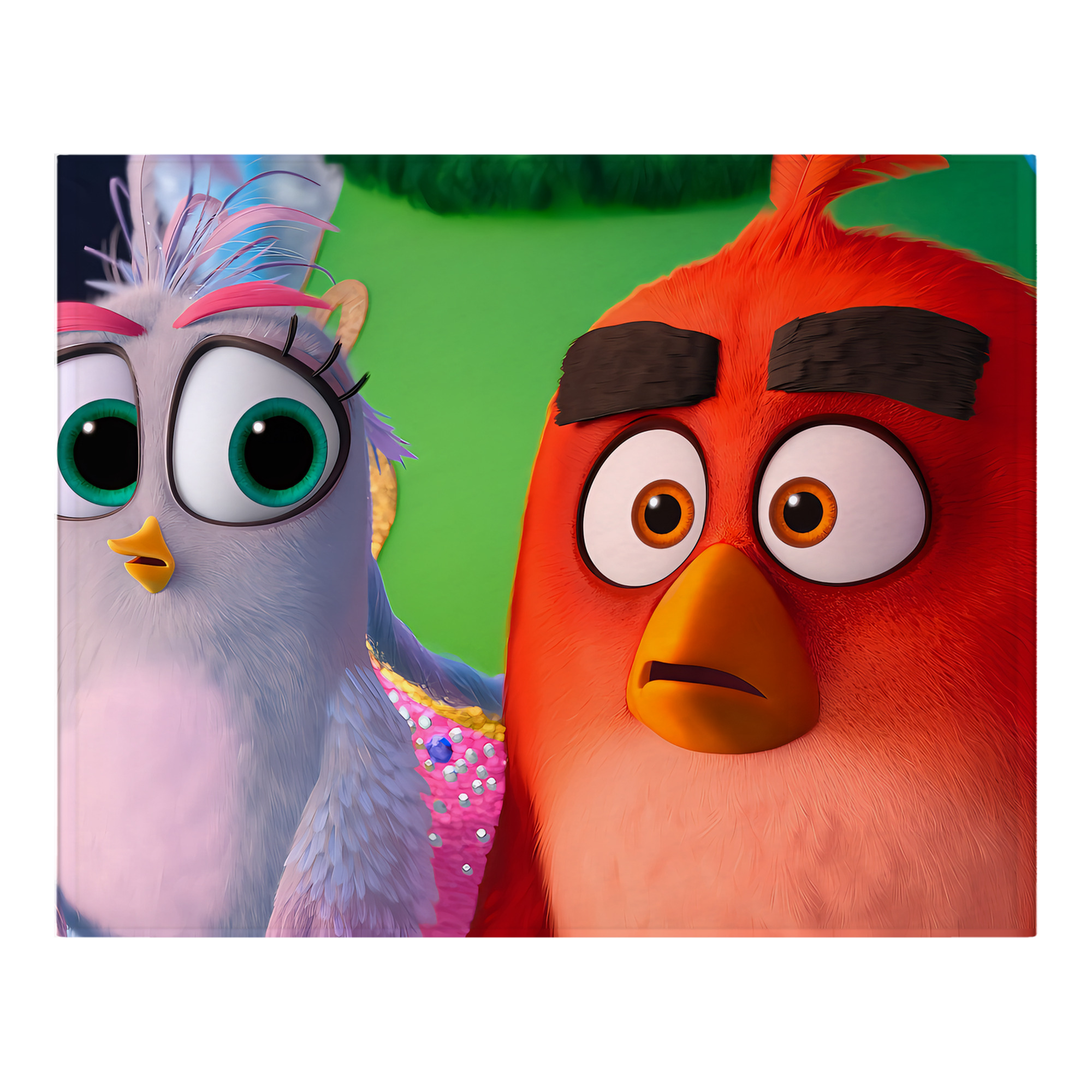 （画像用） Angry Birds アングリーバード フランネルブランケット・多サイズ対応（横型）