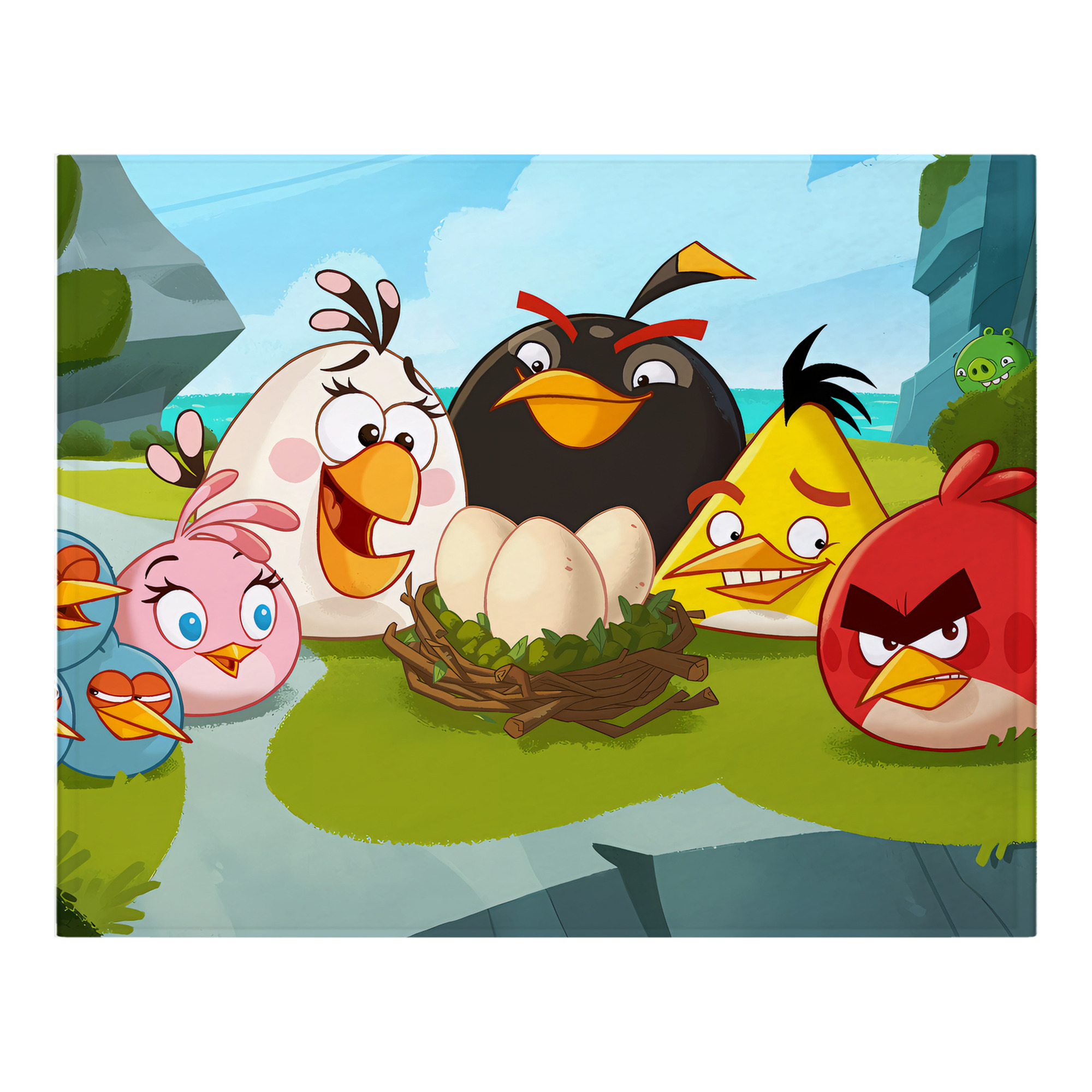（画像用） Angry Birds アングリーバード フランネルブランケット・多サイズ対応（横型）