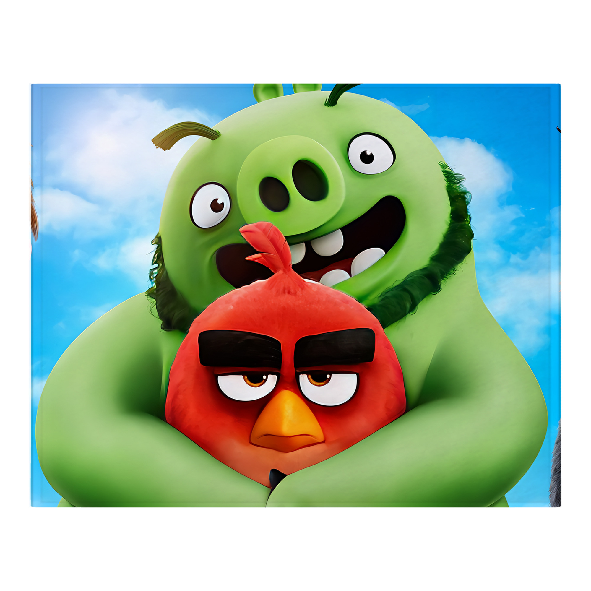（画像用） Angry Birds アングリーバード フランネルブランケット・多サイズ対応（横型）