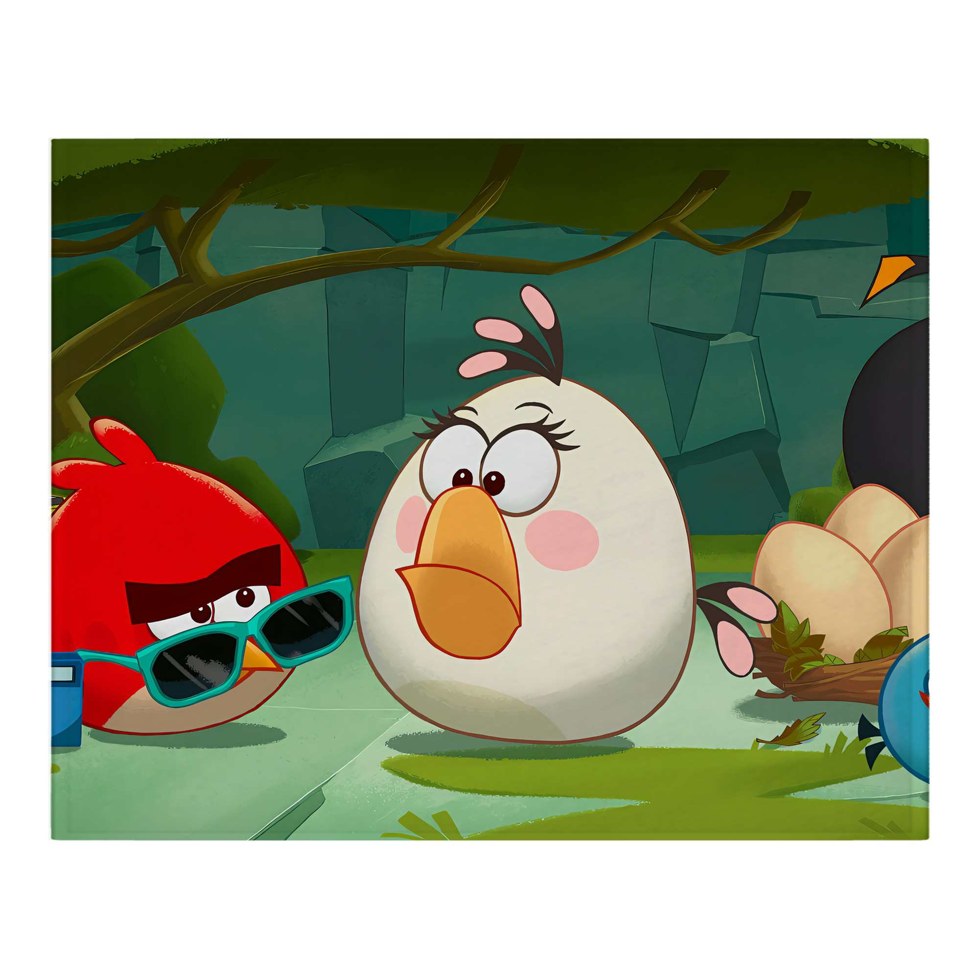 （画像用） Angry Birds アングリーバード フランネルブランケット・多サイズ対応（横型）
