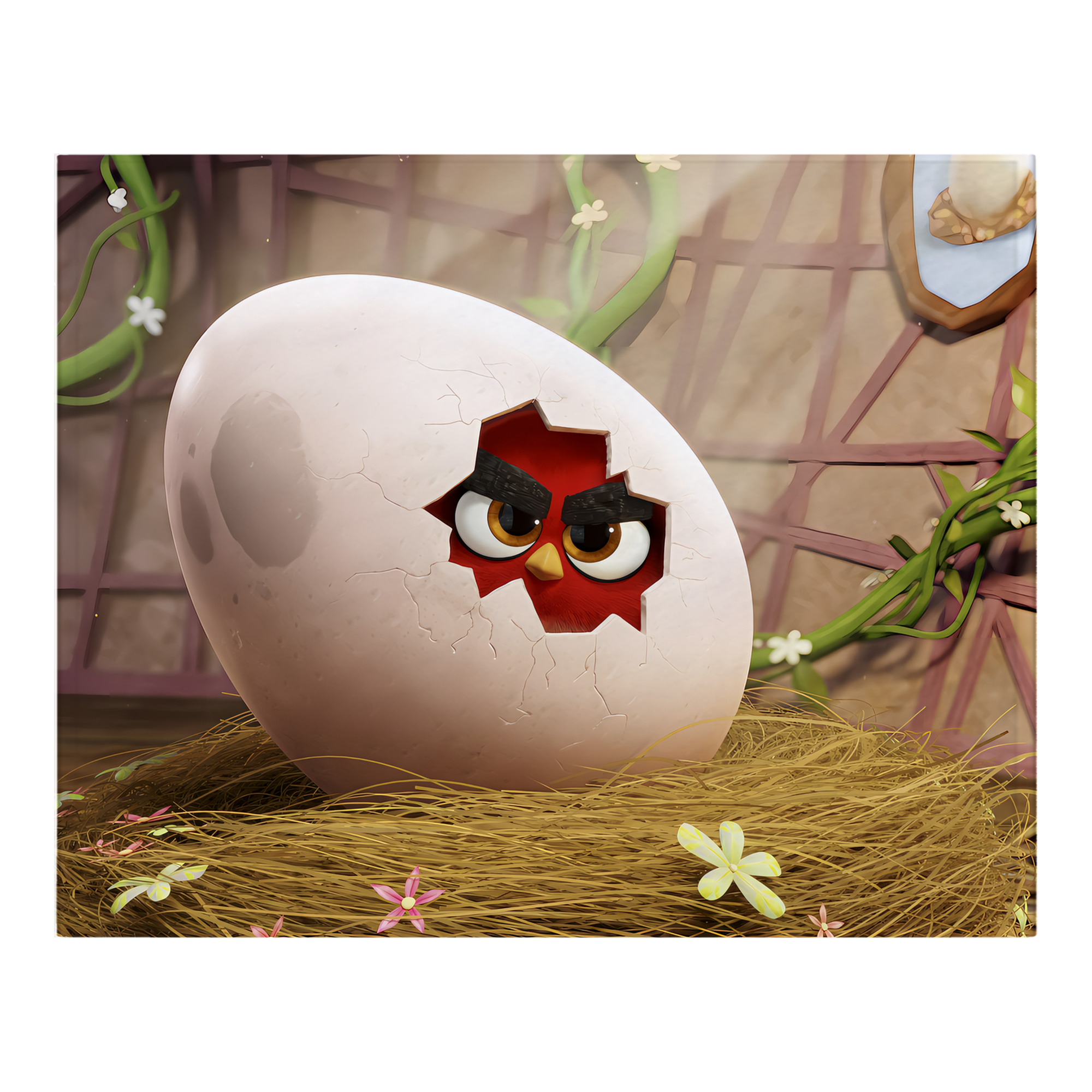 （画像用） Angry Birds アングリーバード フランネルブランケット・多サイズ対応（横型）