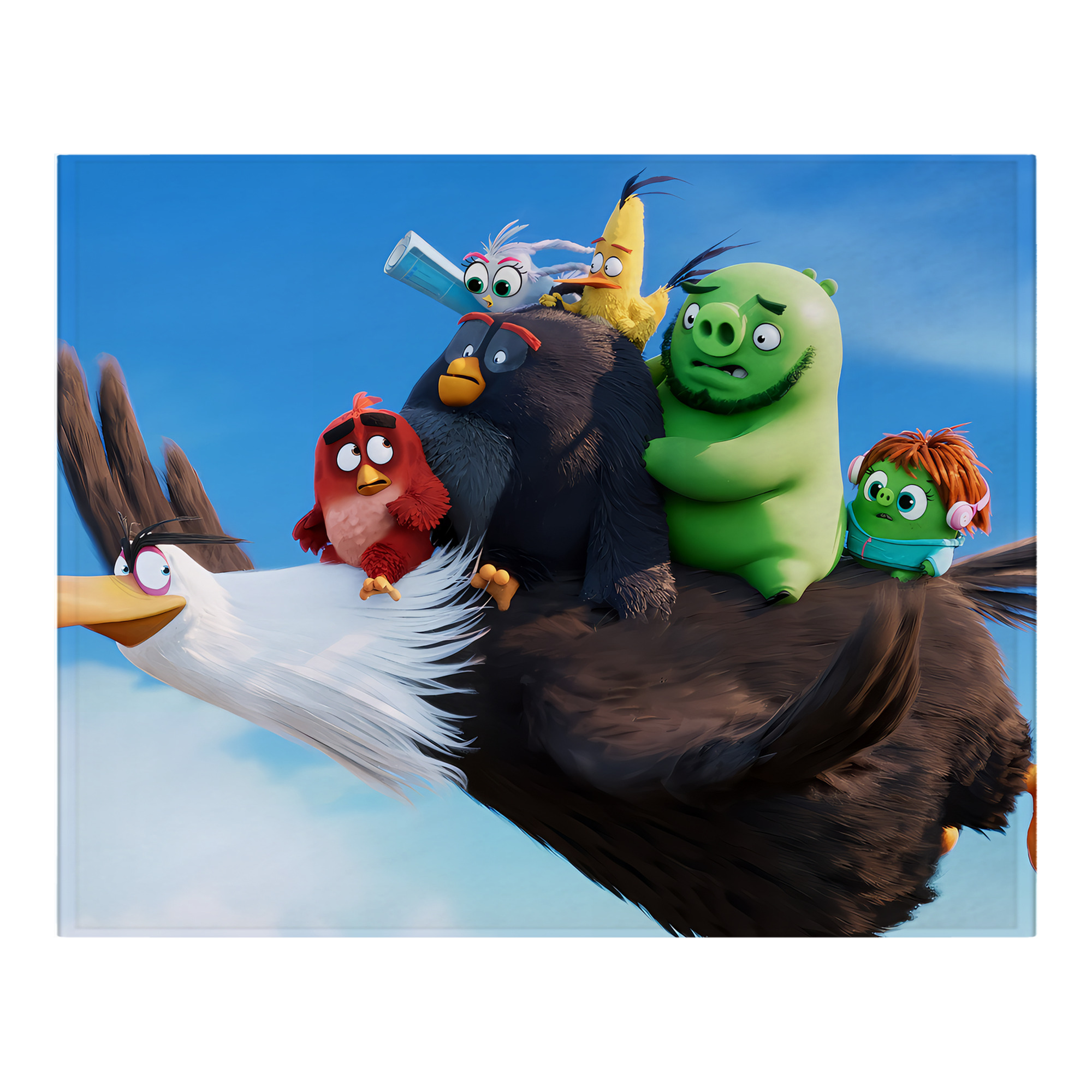 （画像用） Angry Birds アングリーバード フランネルブランケット・多サイズ対応（横型）
