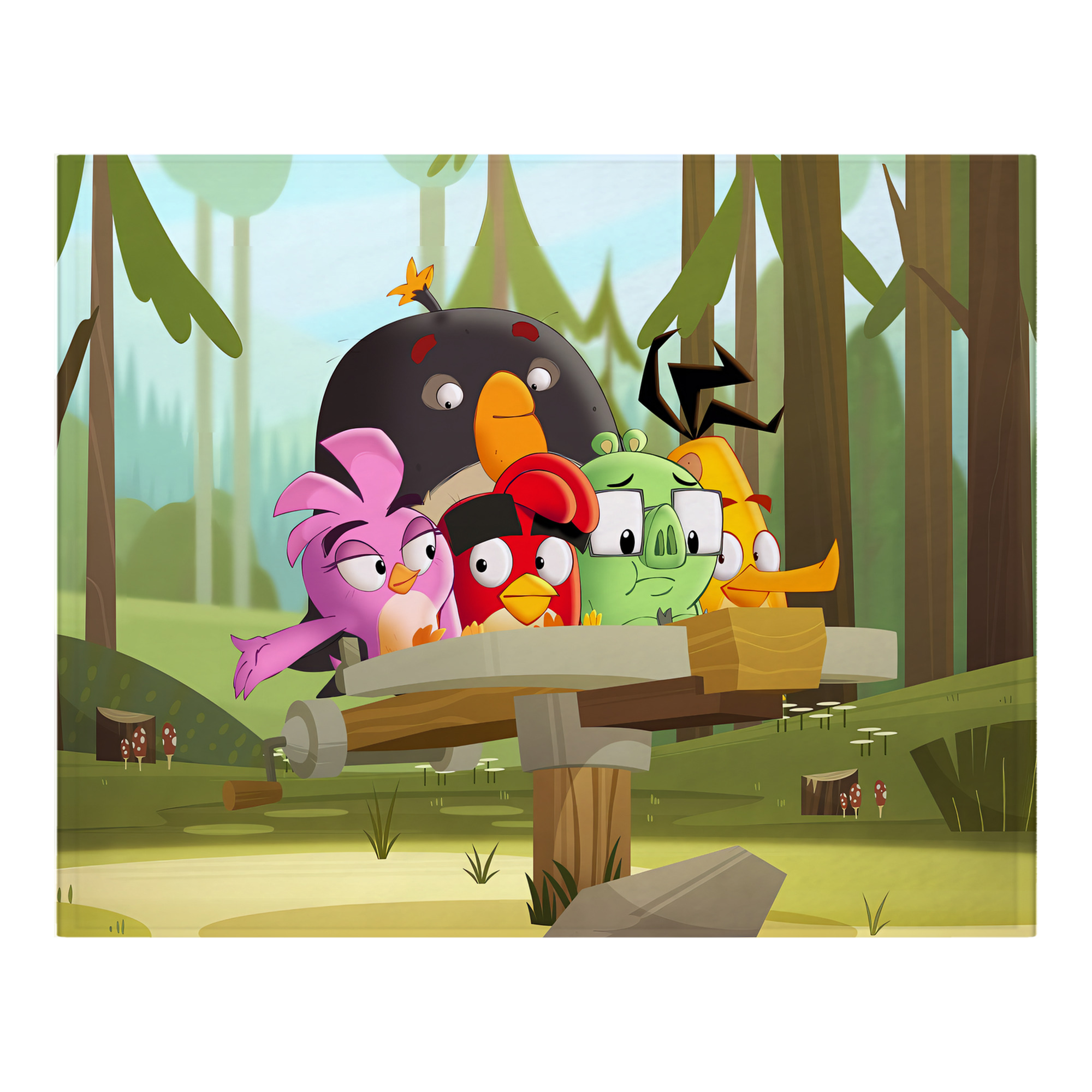 （画像用） Angry Birds アングリーバード フランネルブランケット・多サイズ対応（横型）