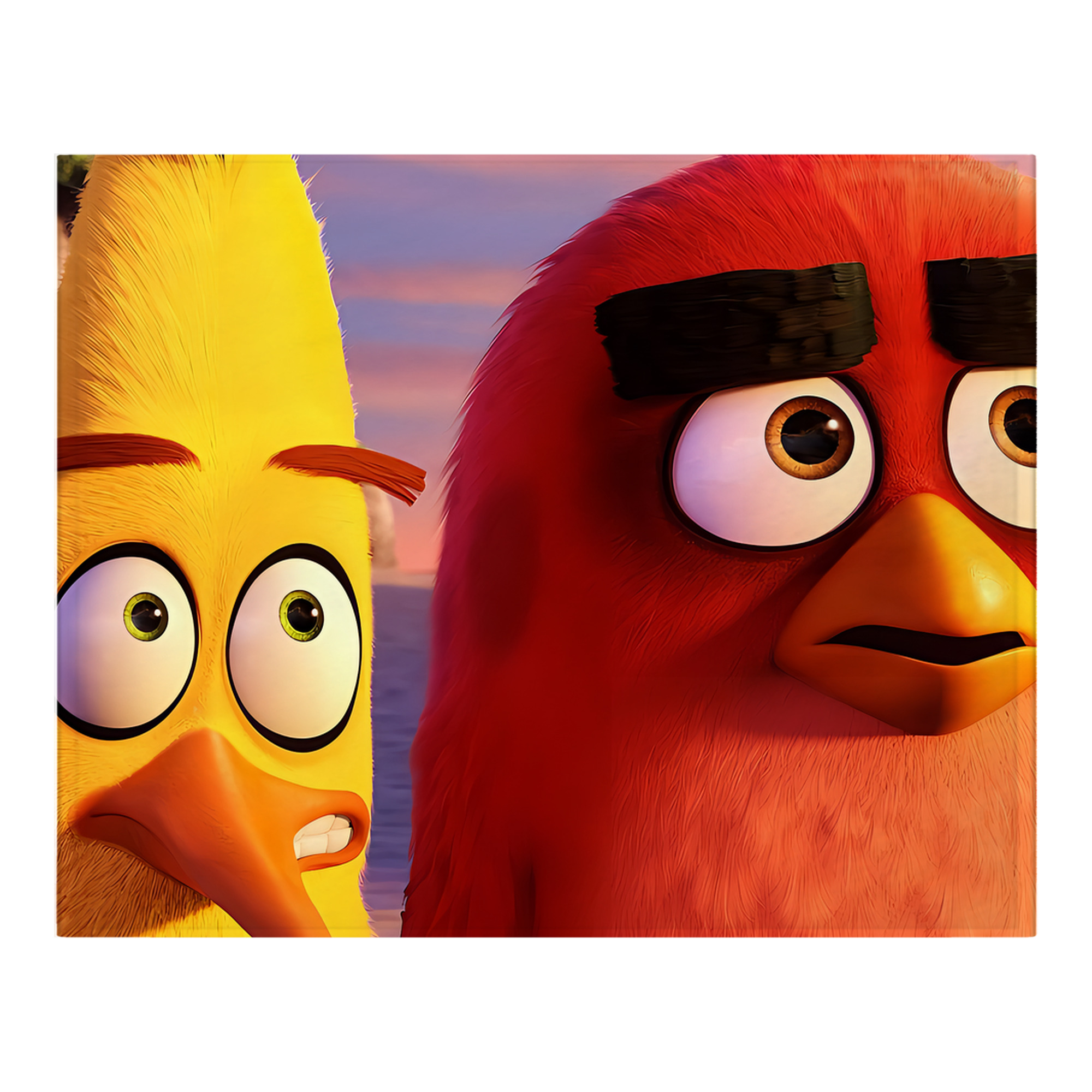 （画像用） Angry Birds アングリーバード フランネルブランケット・多サイズ対応（横型）