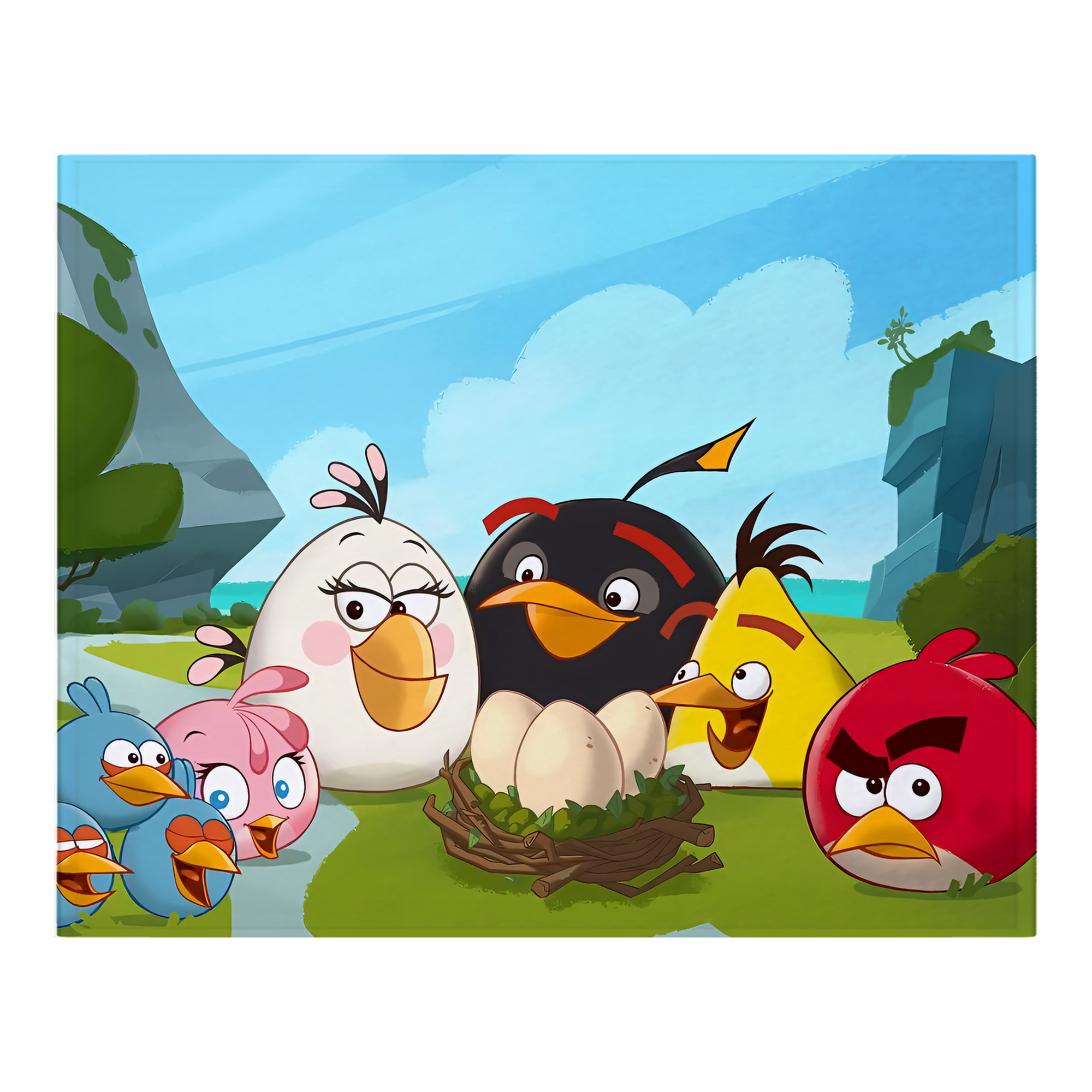 （画像用） Angry Birds アングリーバード フランネルブランケット・多サイズ対応（横型）
