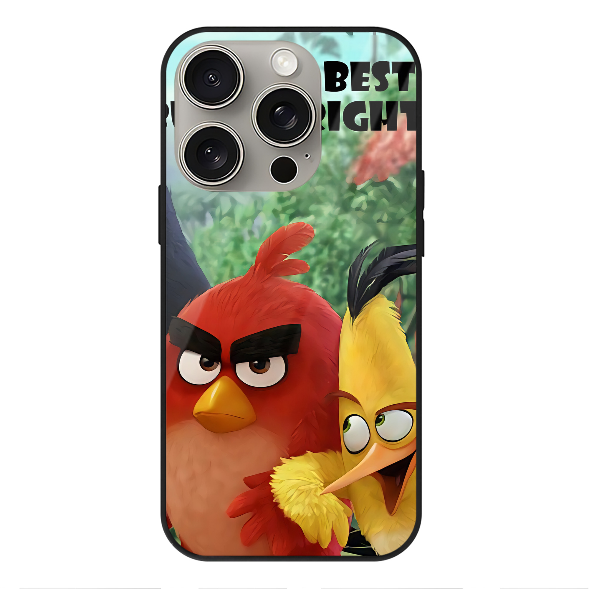 （画像用） Angry Birds アングリーバード 【iPhone15Pro対応】スマホケース 耐衝撃＆黄変防止 背面ガラス