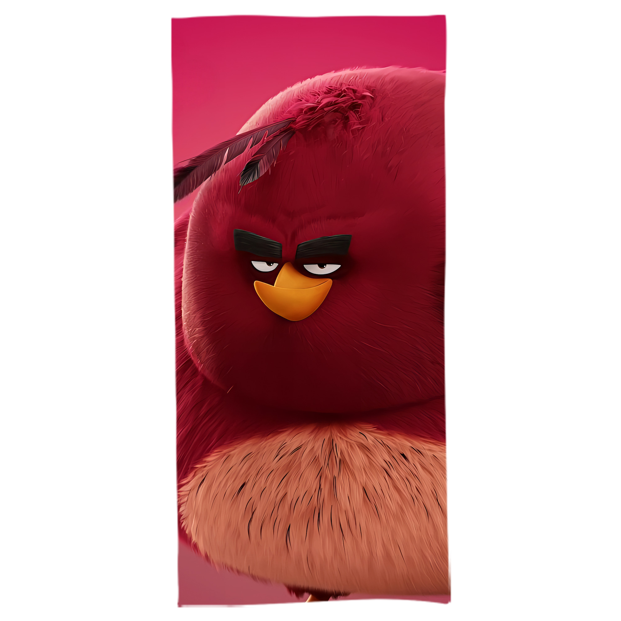（画像用） Angry Birds アングリーバード 大判バスタオル 70×140cm 吸水速乾 柔らかい肌触り