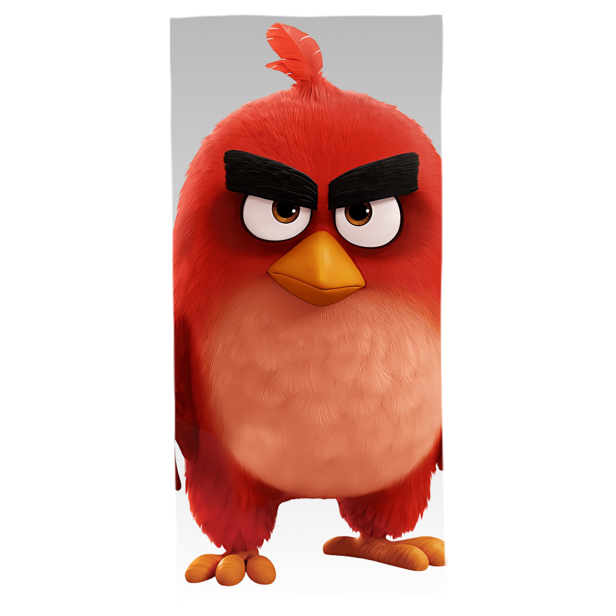 （画像用） Angry Birds アングリーバード 大判バスタオル 70×140cm 吸水速乾 柔らかい肌触り
