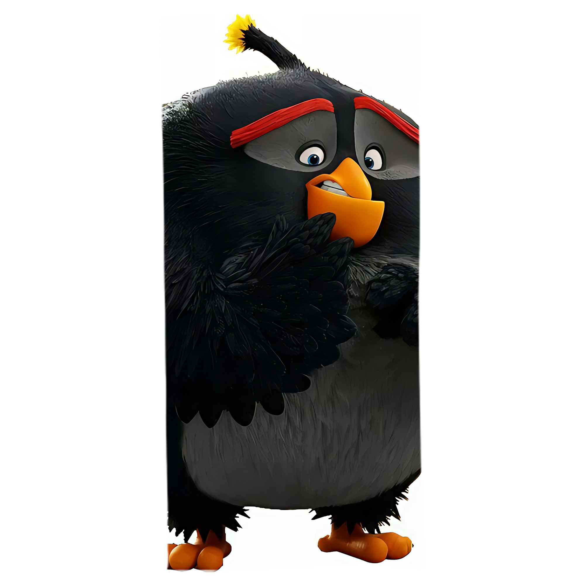 （画像用） Angry Birds アングリーバード 大判バスタオル 70×140cm 吸水速乾 柔らかい肌触り
