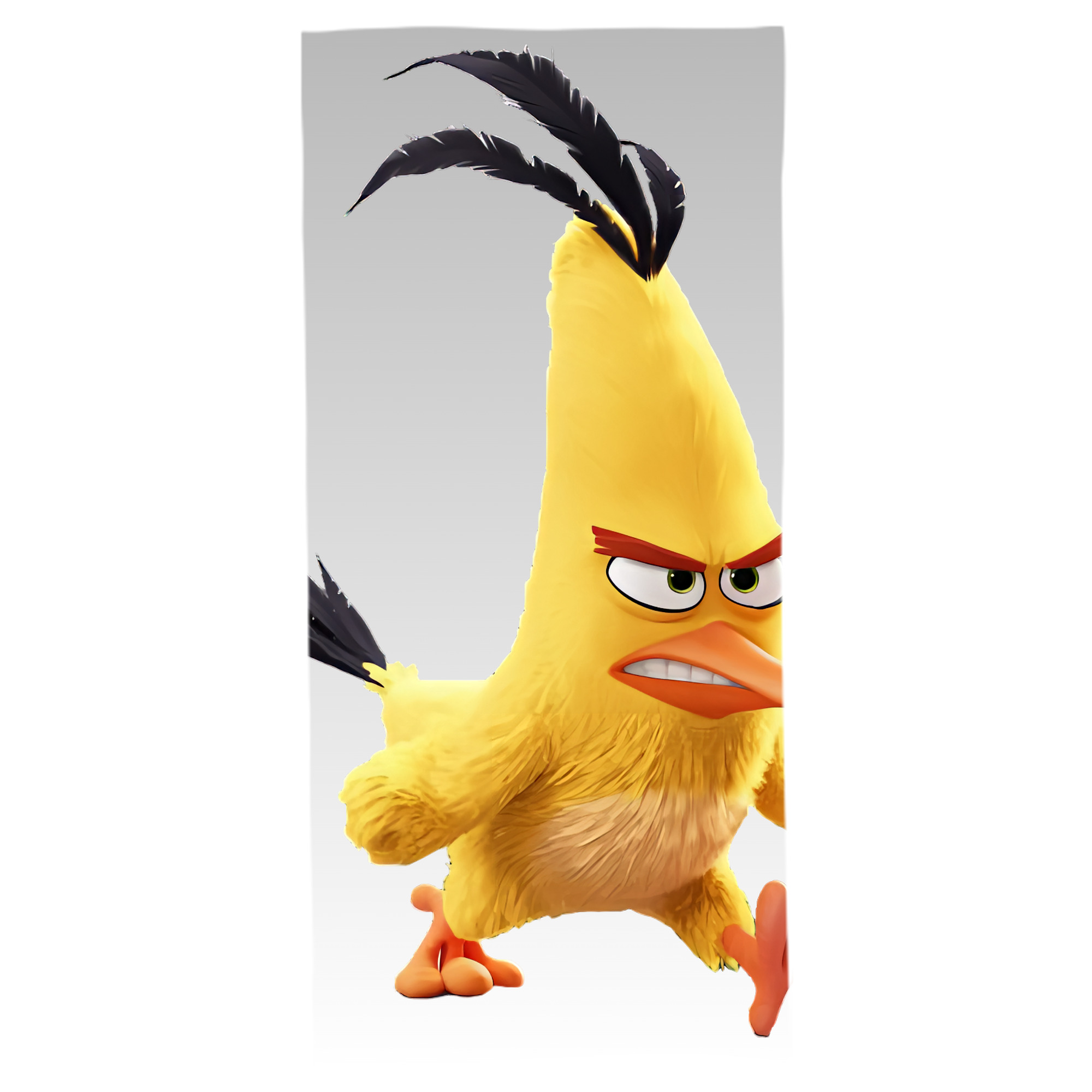 （画像用） Angry Birds アングリーバード 大判バスタオル 70×140cm 吸水速乾 柔らかい肌触り