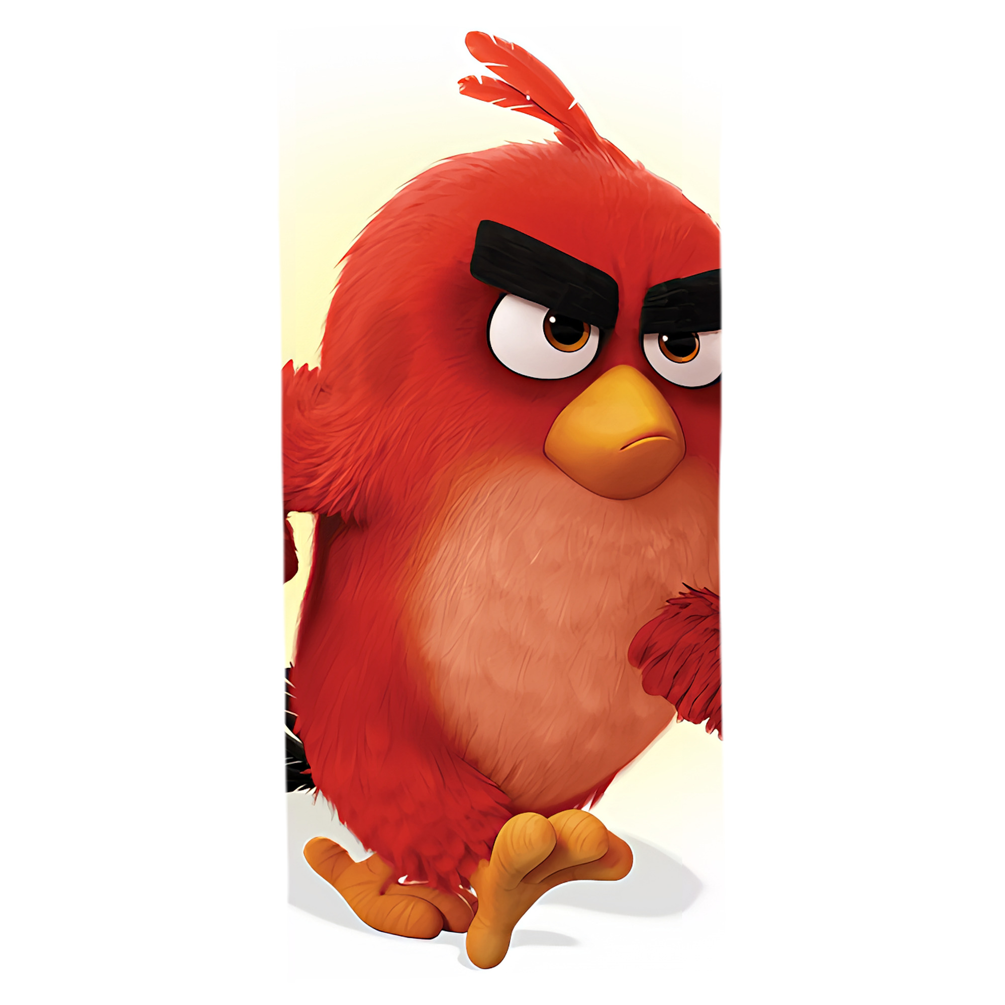 （画像用） Angry Birds アングリーバード 大判バスタオル 70×140cm 吸水速乾 柔らかい肌触り