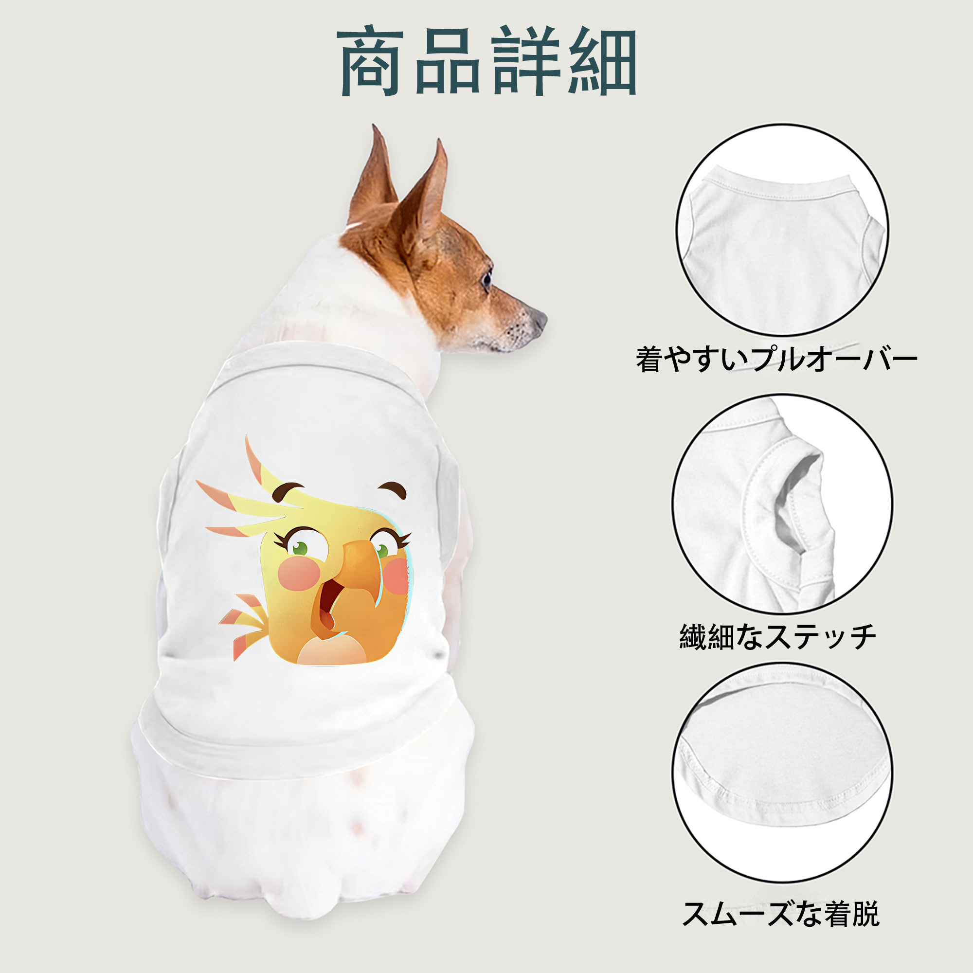 一般的なイメージ