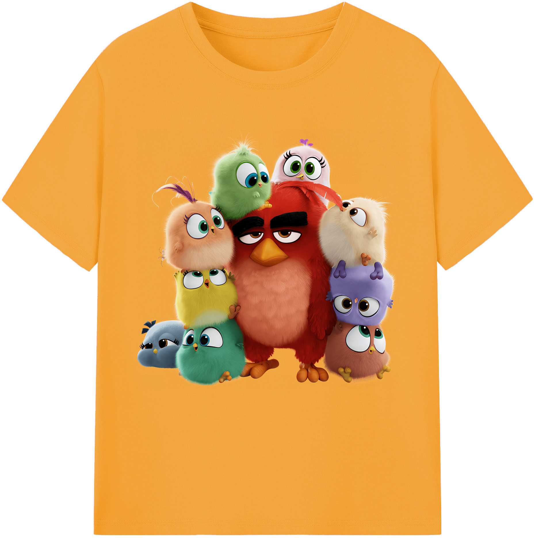 （画像用） Angry Birds アングリーバード 綿100％半袖Tシャツ（フロントプリント）