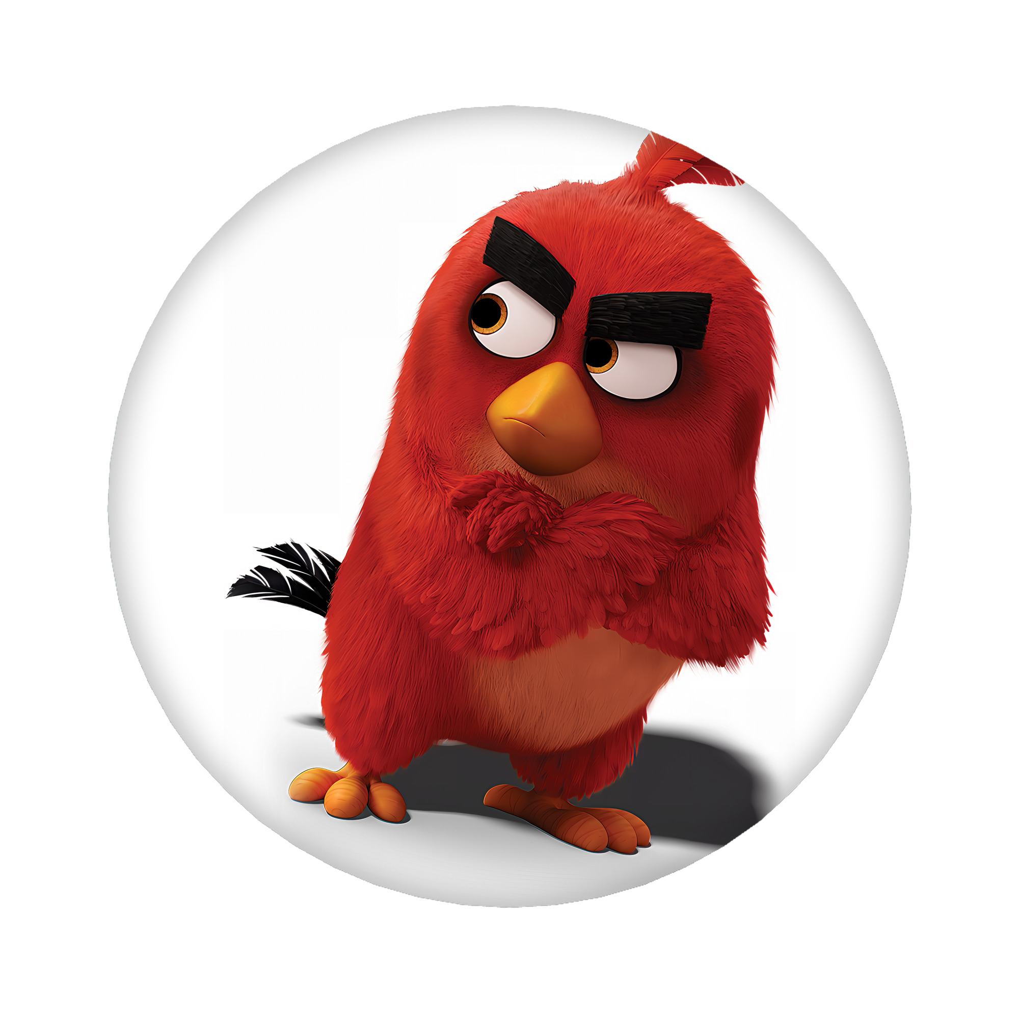 （画像用） Angry Birds アングリーバード 6cm 缶バッジ 複数セット