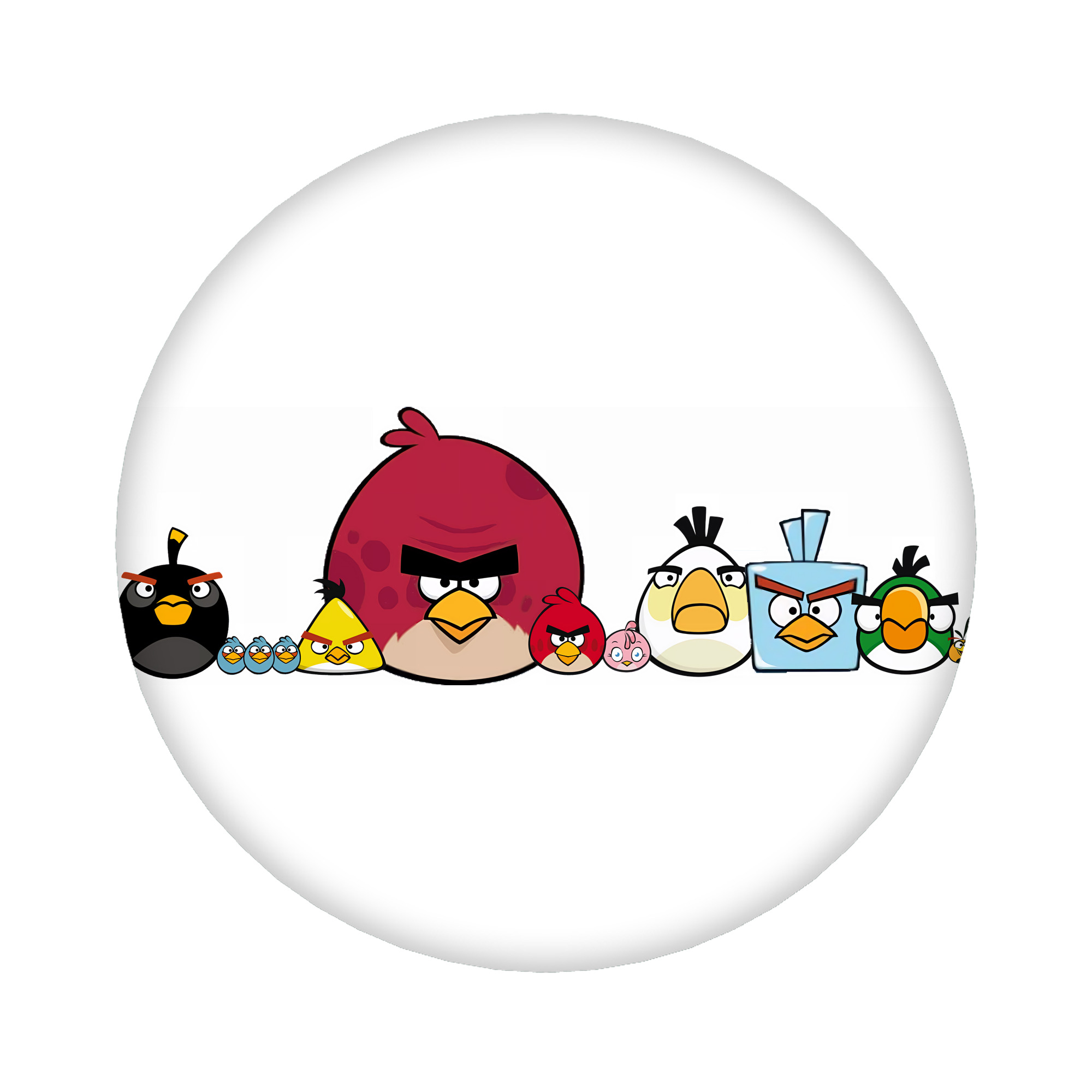 （画像用） Angry Birds アングリーバード 6cm 缶バッジ 複数セット