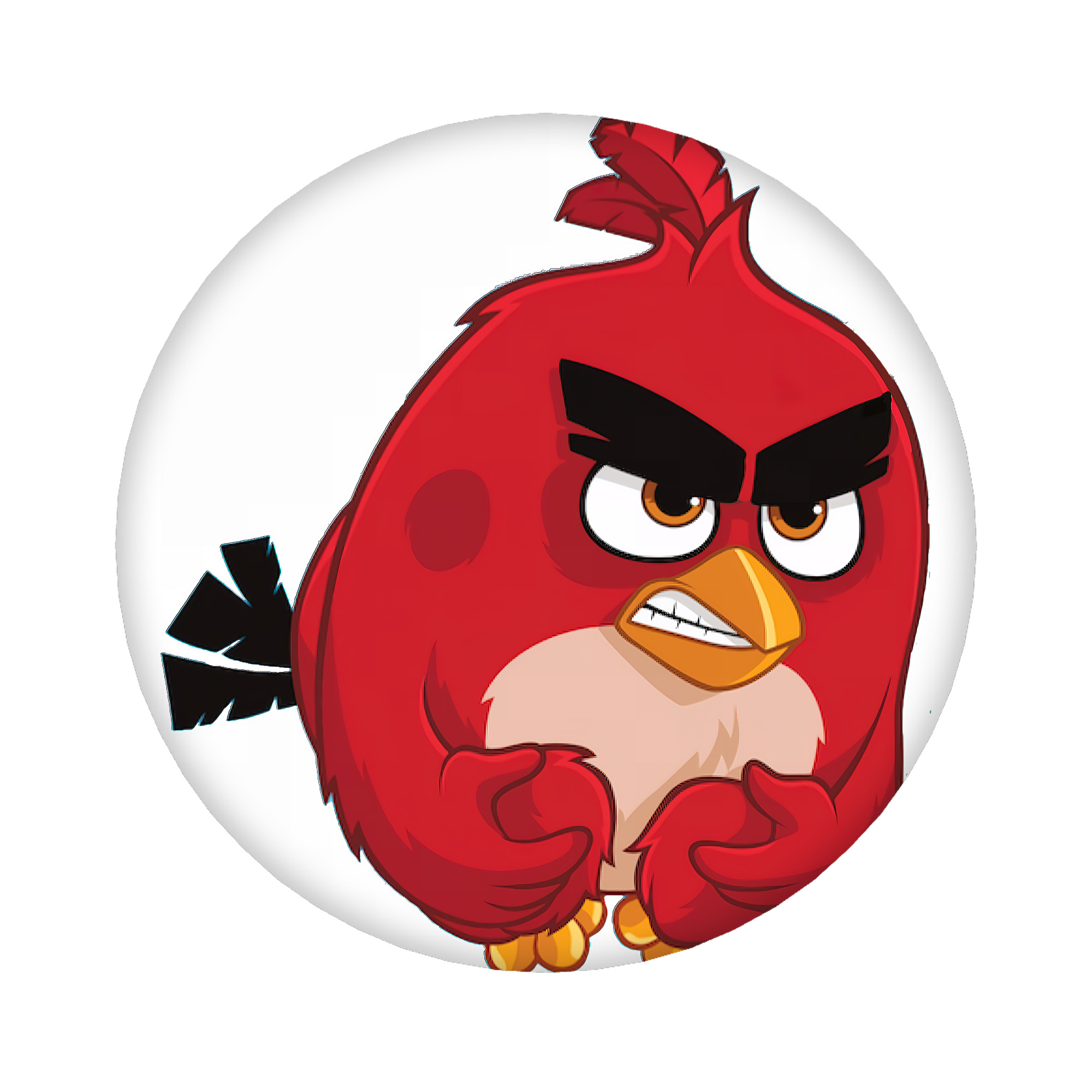 （画像用） Angry Birds アングリーバード 6cm 缶バッジ 複数セット