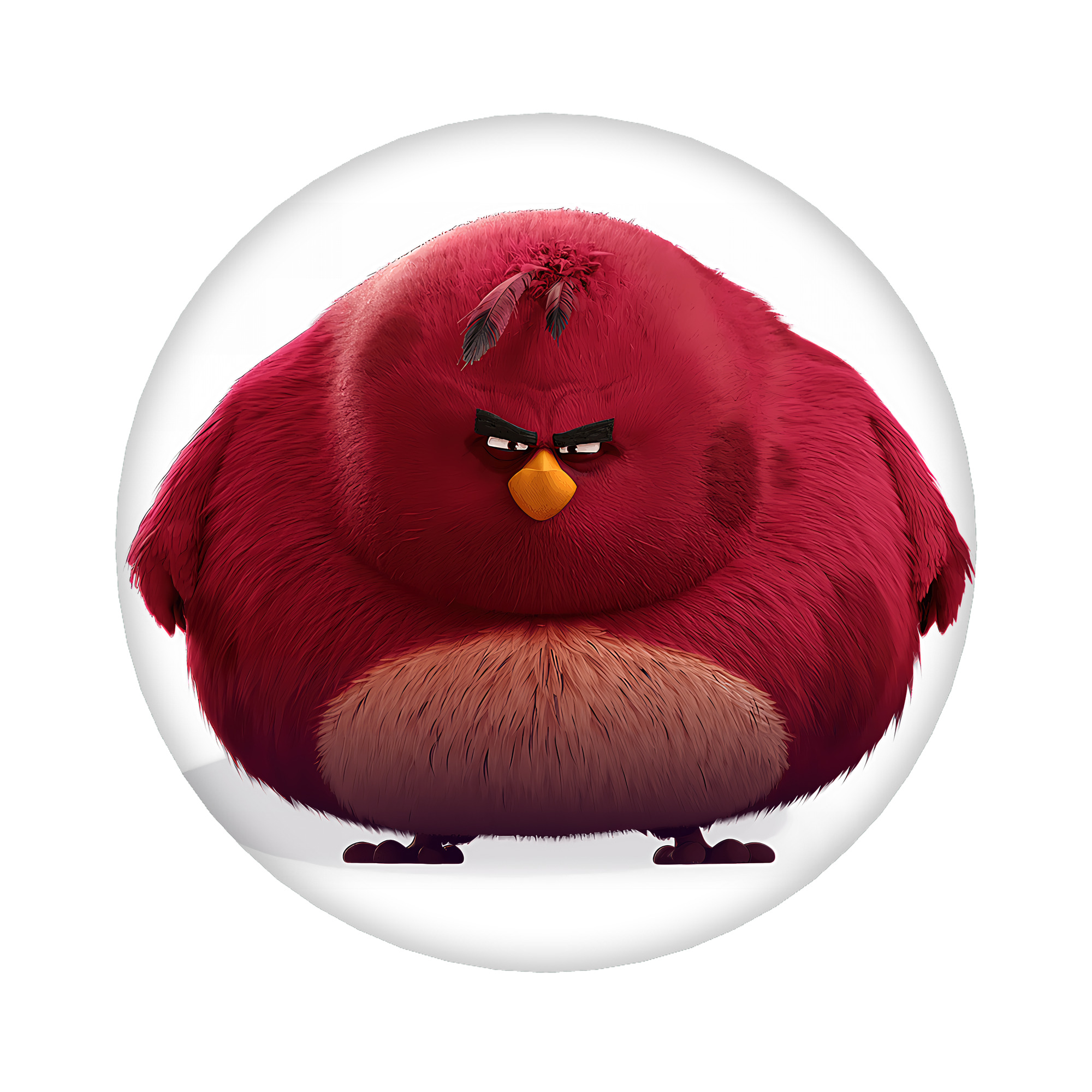（画像用） Angry Birds アングリーバード 6cm 缶バッジ 複数セット